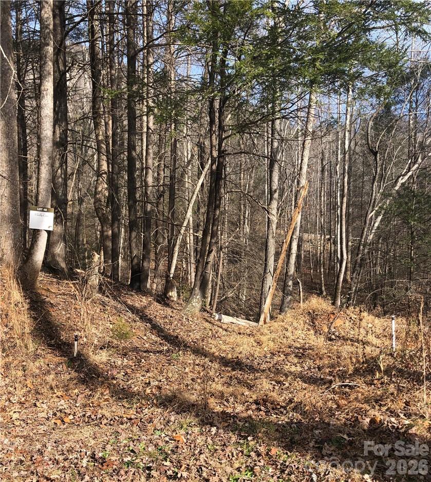 711 Boys Camp Road 48 Property Photo 13
