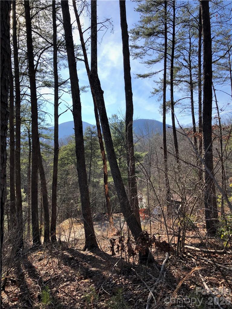 711 Boys Camp Road 48 Property Photo 14