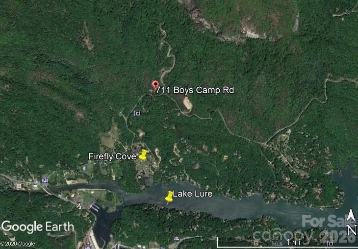 711 Boys Camp Road 48 Property Photo 17