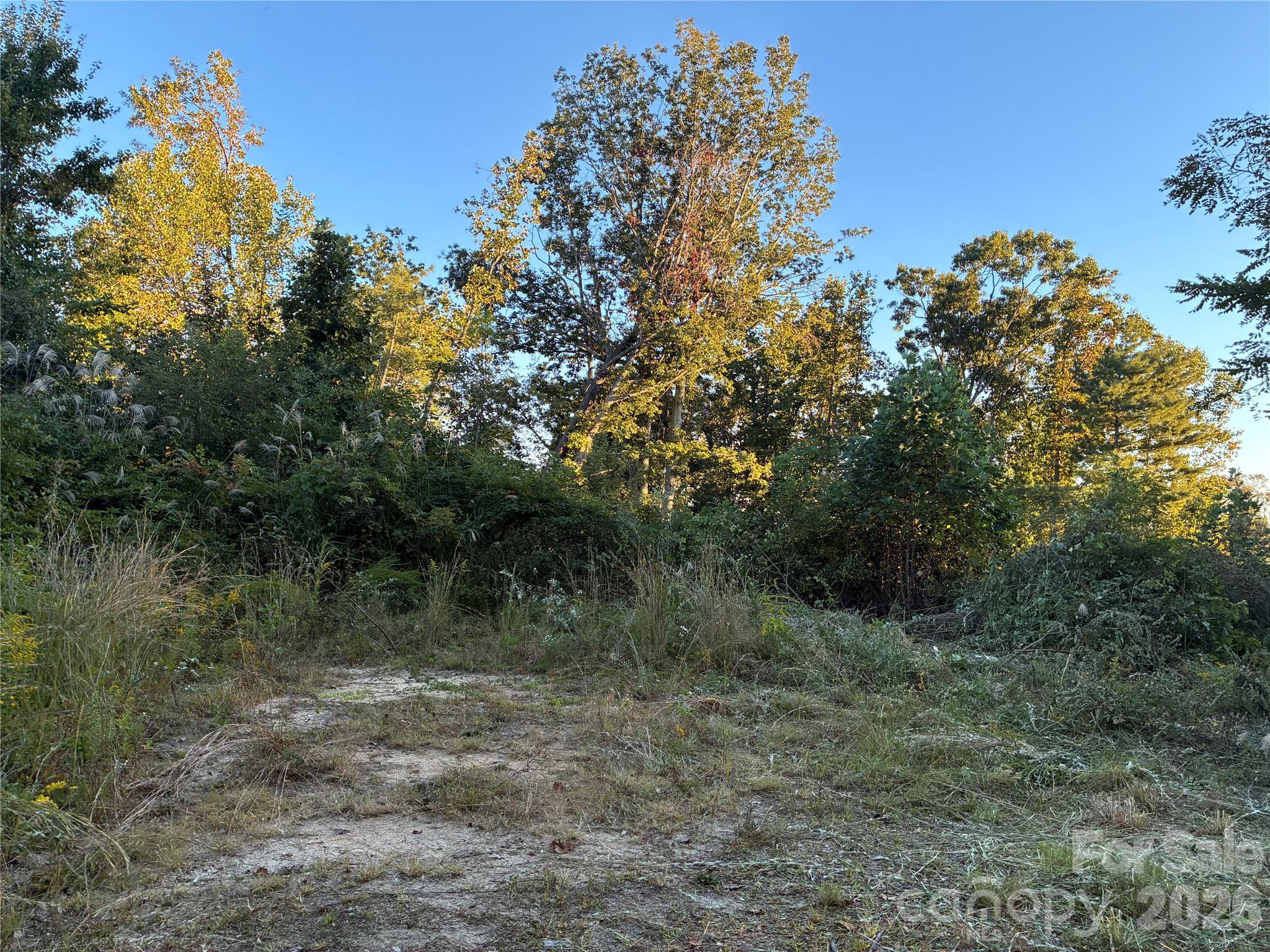 0 Corn Mountain Road Property Photo 1