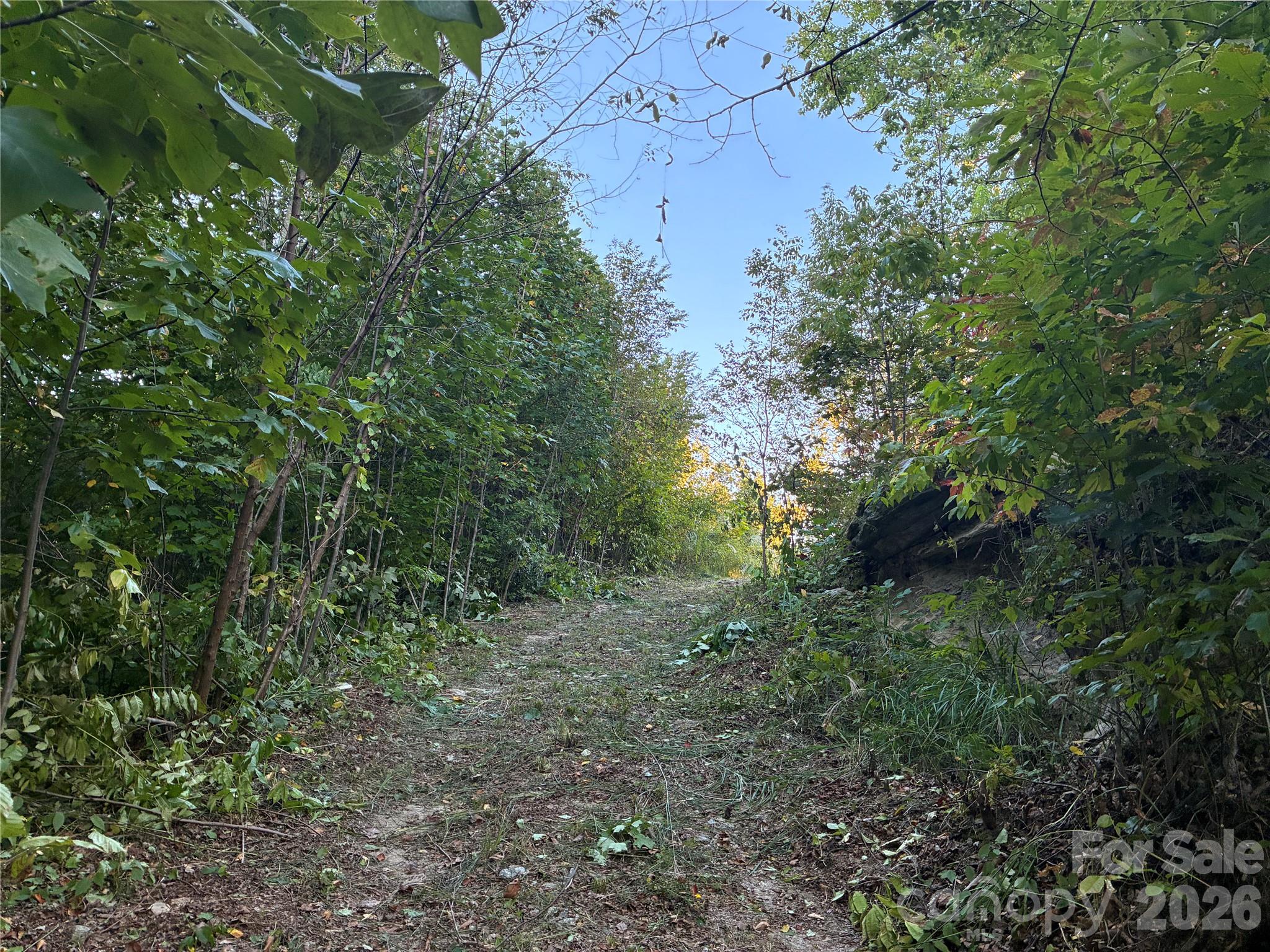 0 Corn Mountain Road Property Photo 3