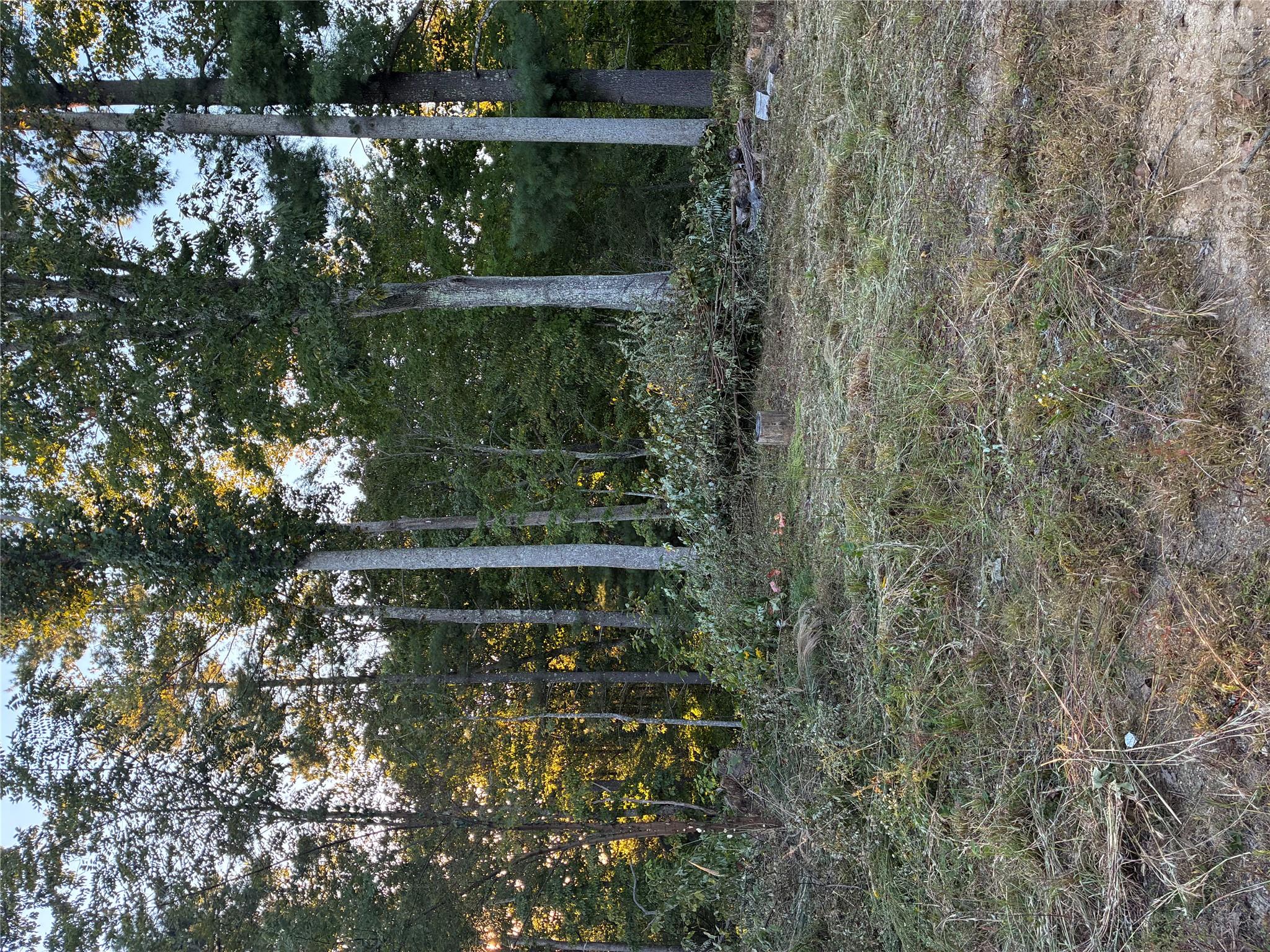 0 Corn Mountain Road Property Photo 4