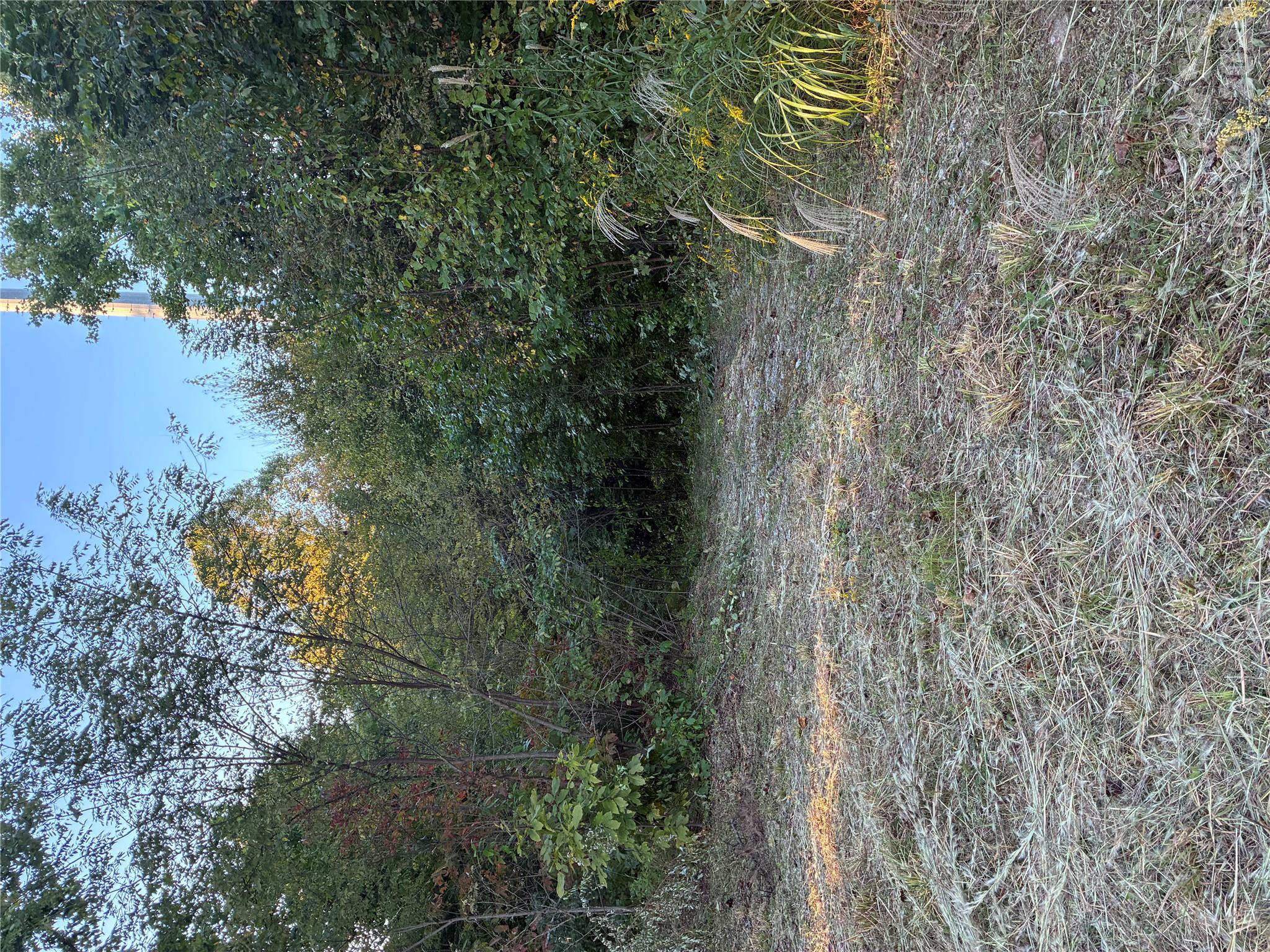 0 Corn Mountain Road Property Photo 5