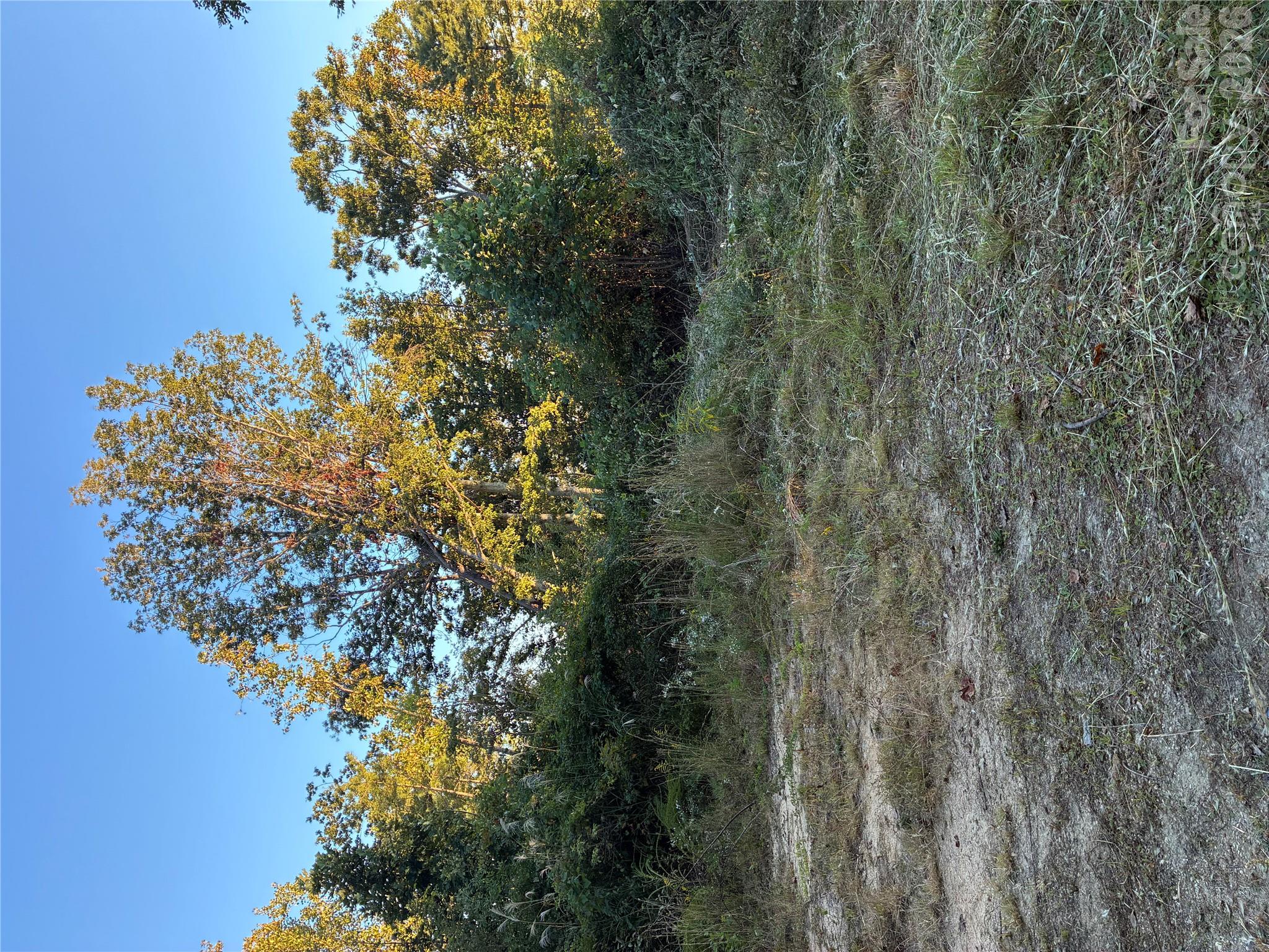 0 Corn Mountain Road Property Photo 6