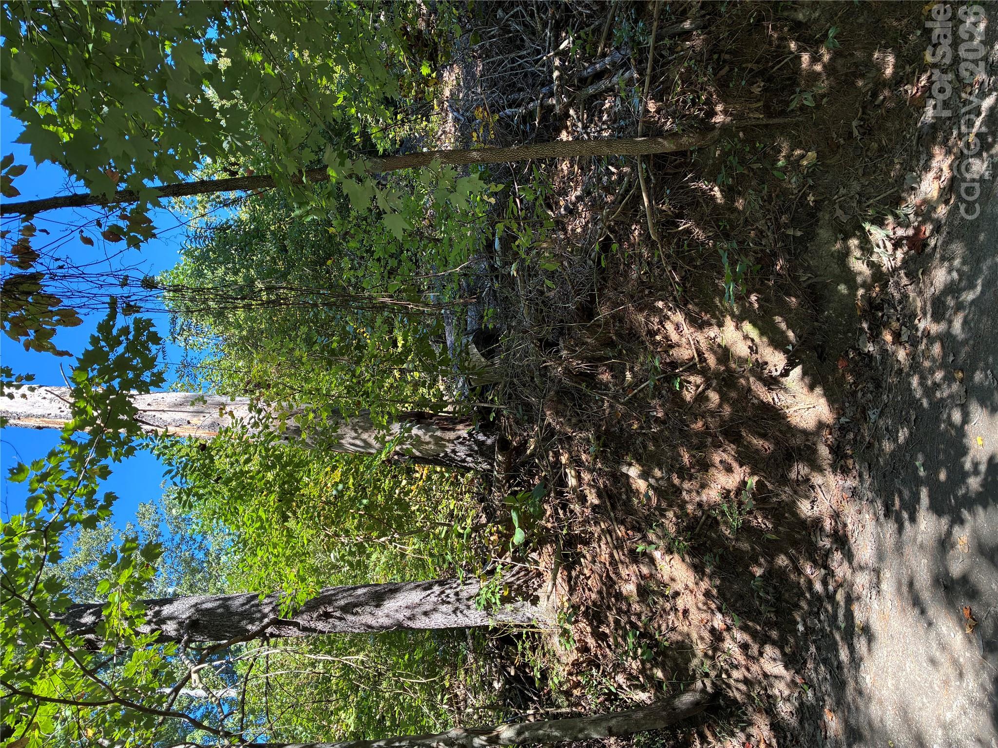 0 Corn Mountain Road Property Photo 8
