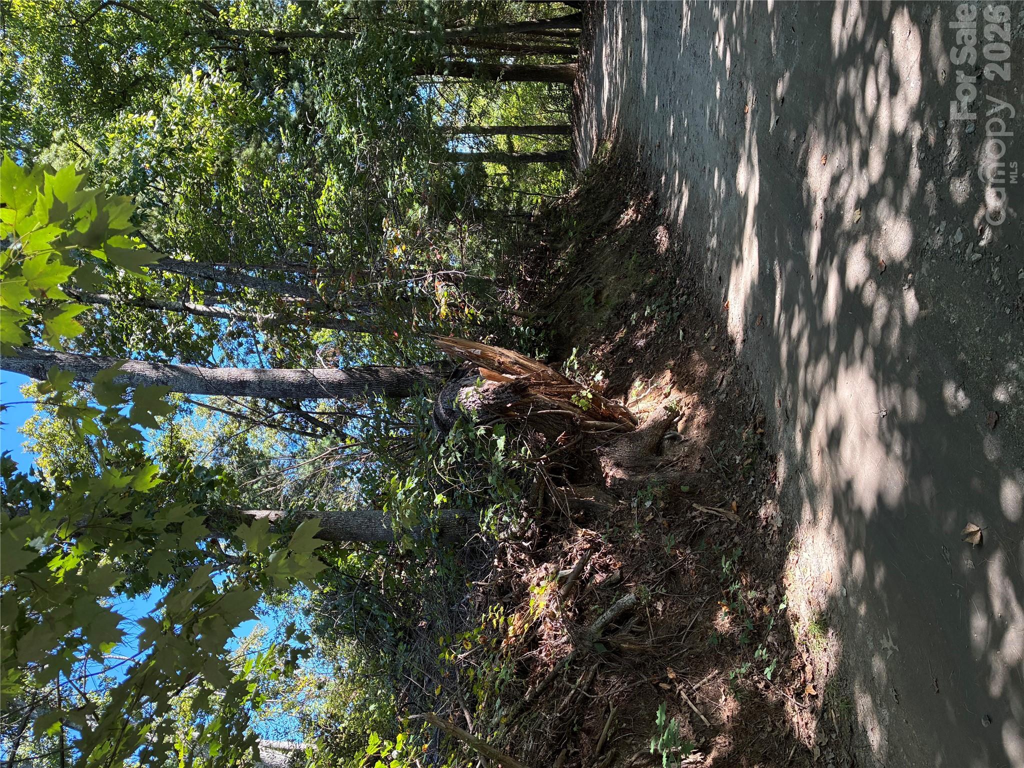 0 Corn Mountain Road Property Photo 9