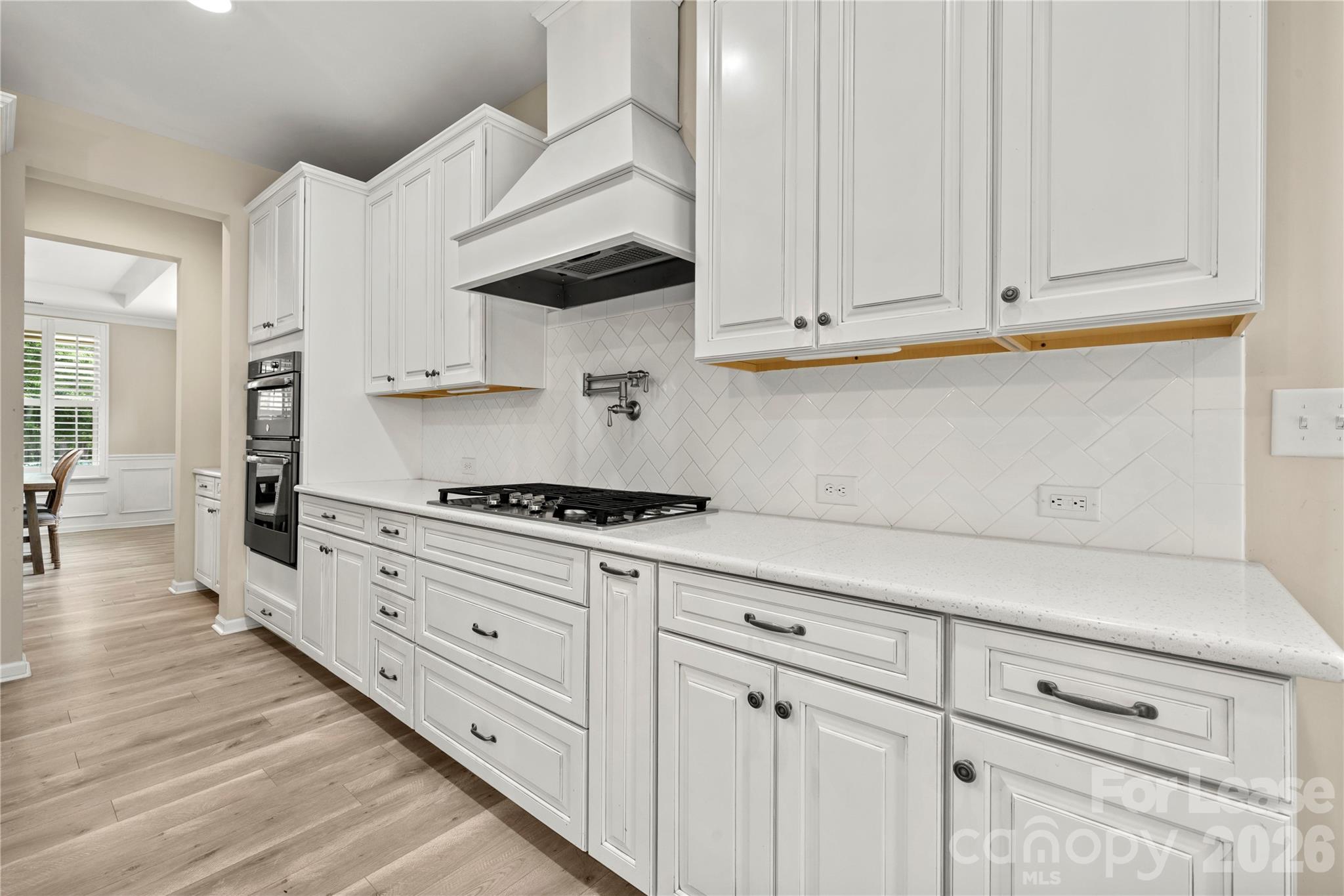 5519 Braddock Mill Way Property Photo 12