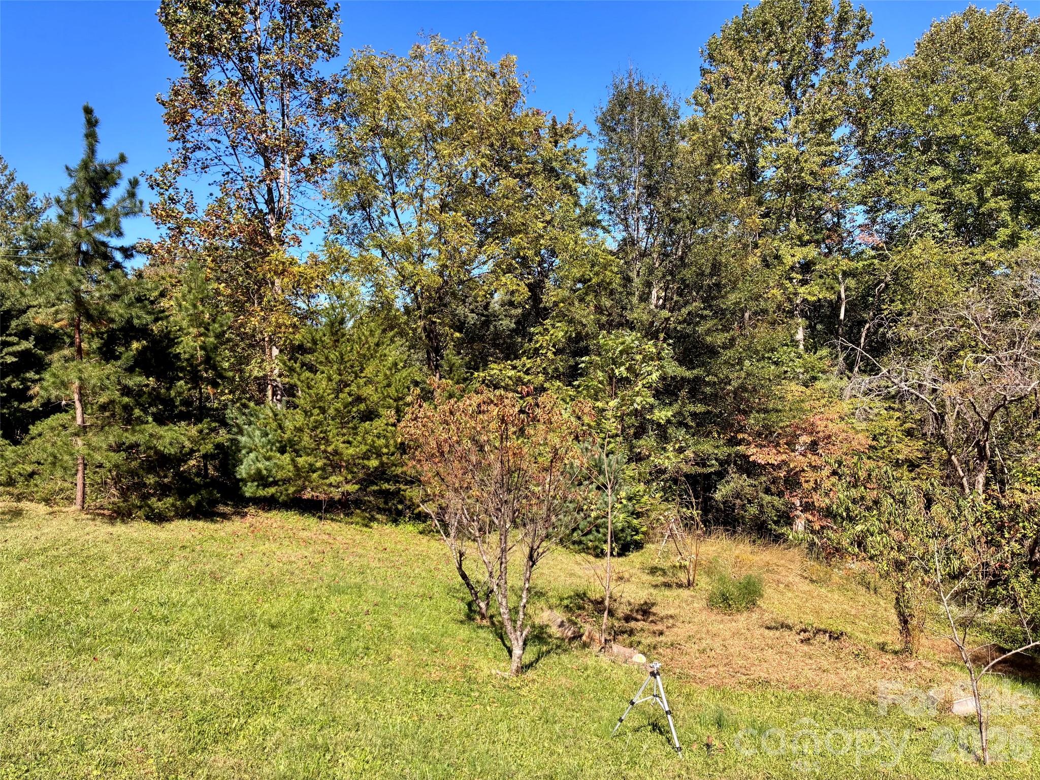 110 Poteat Drive Property Photo 11