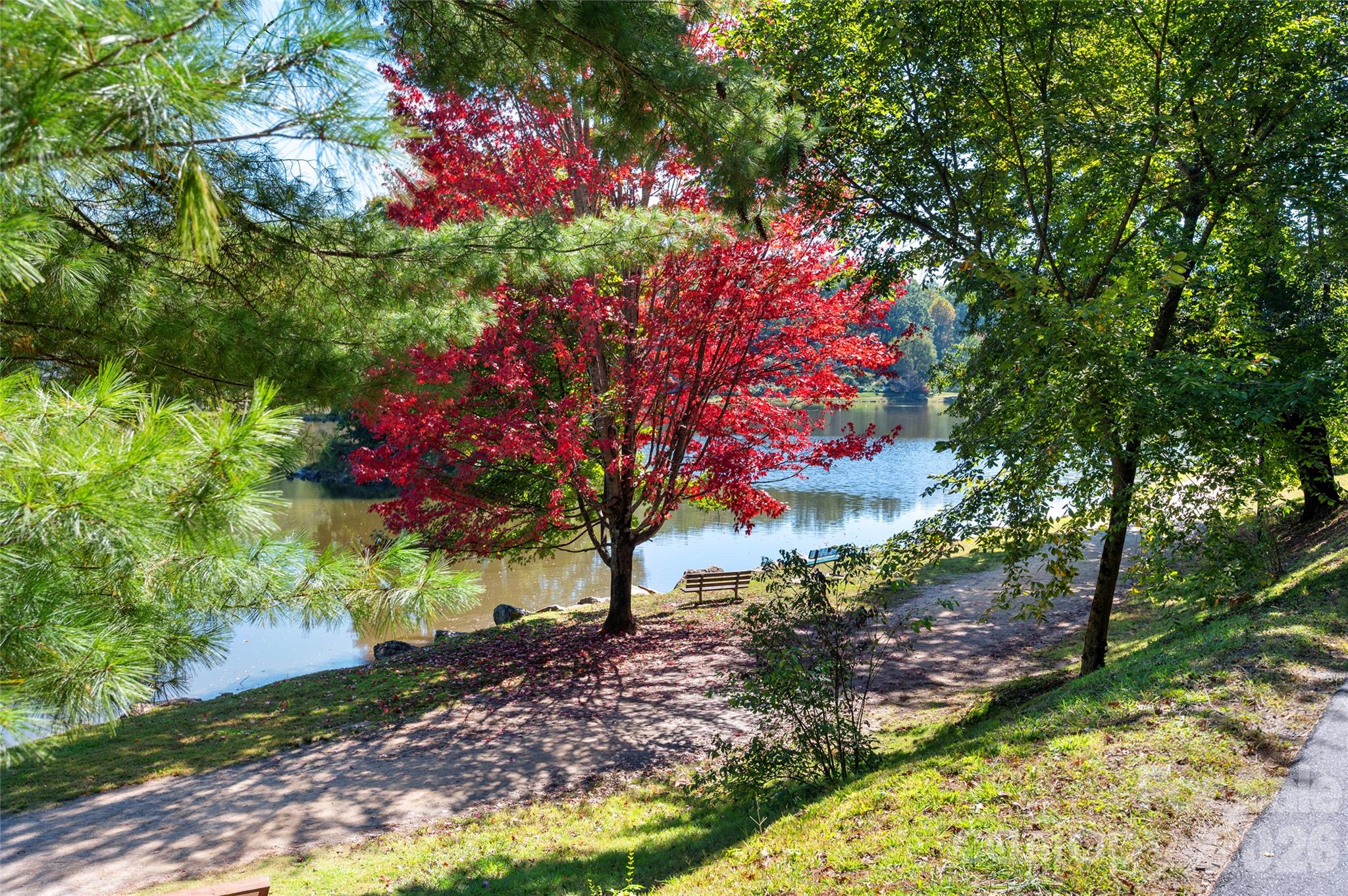 112 Rhododendron Avenue Property Photo 39
