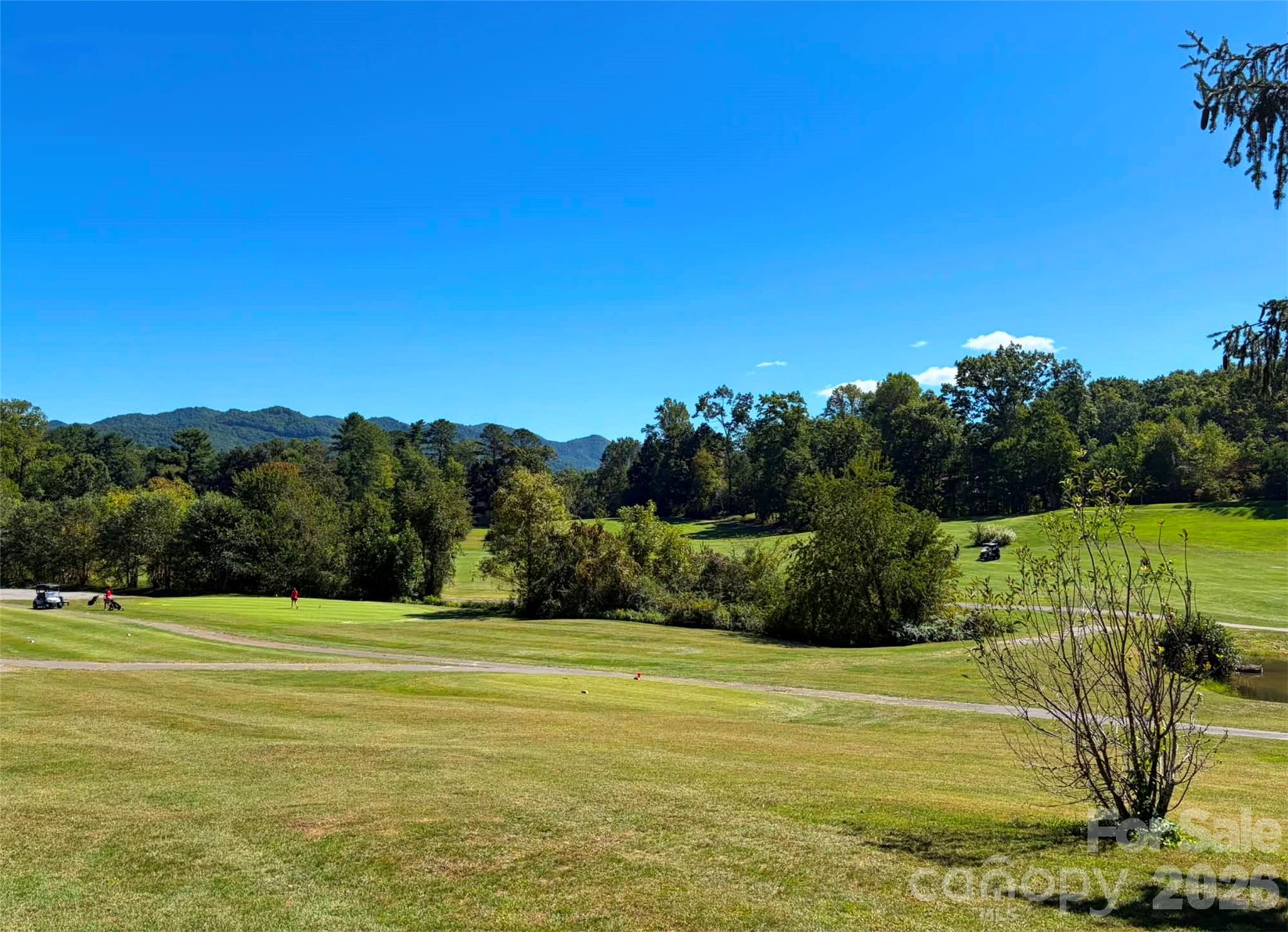 112 Rhododendron Avenue Property Photo 41