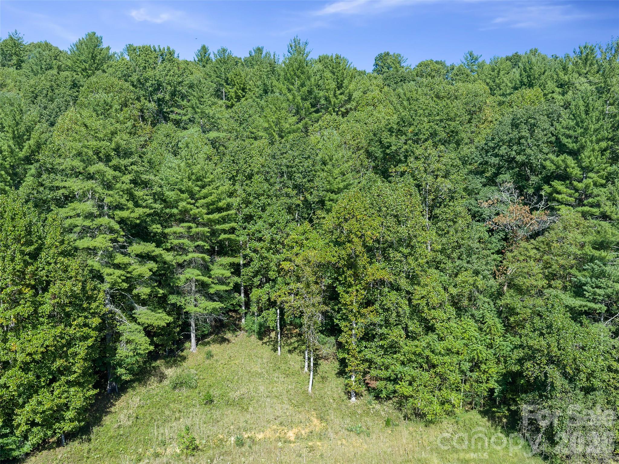 210 Fog Hollow Drive Property Photo 17