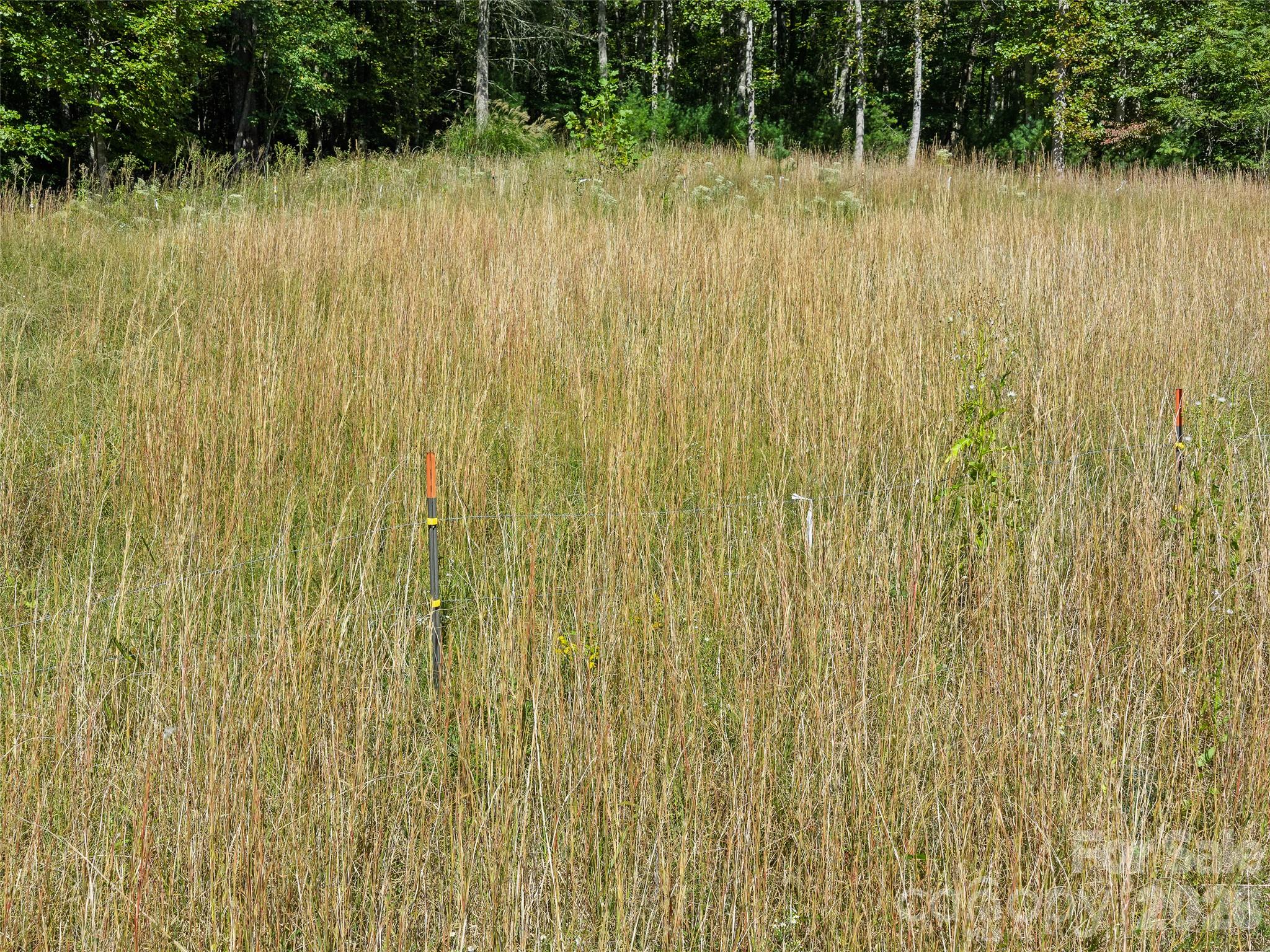 210 Fog Hollow Drive Property Photo 19
