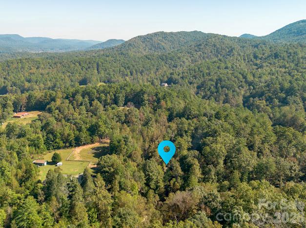 1454 Ohennesy Lane Property Photo 43