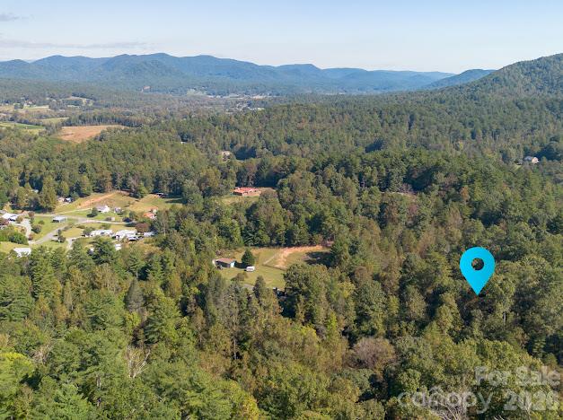 1454 Ohennesy Lane Property Photo 44