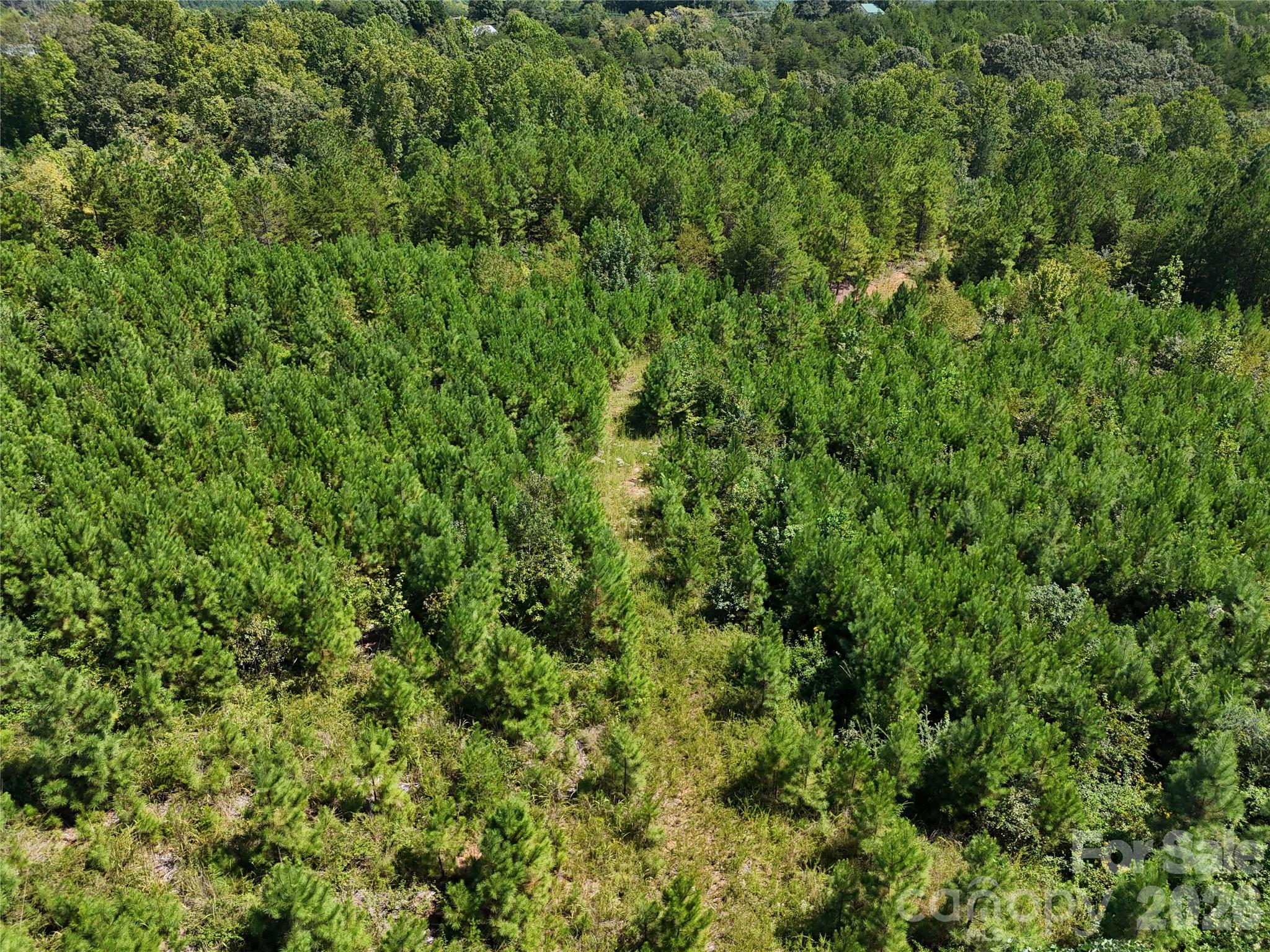 2125 Whiteside Road Property Photo 4