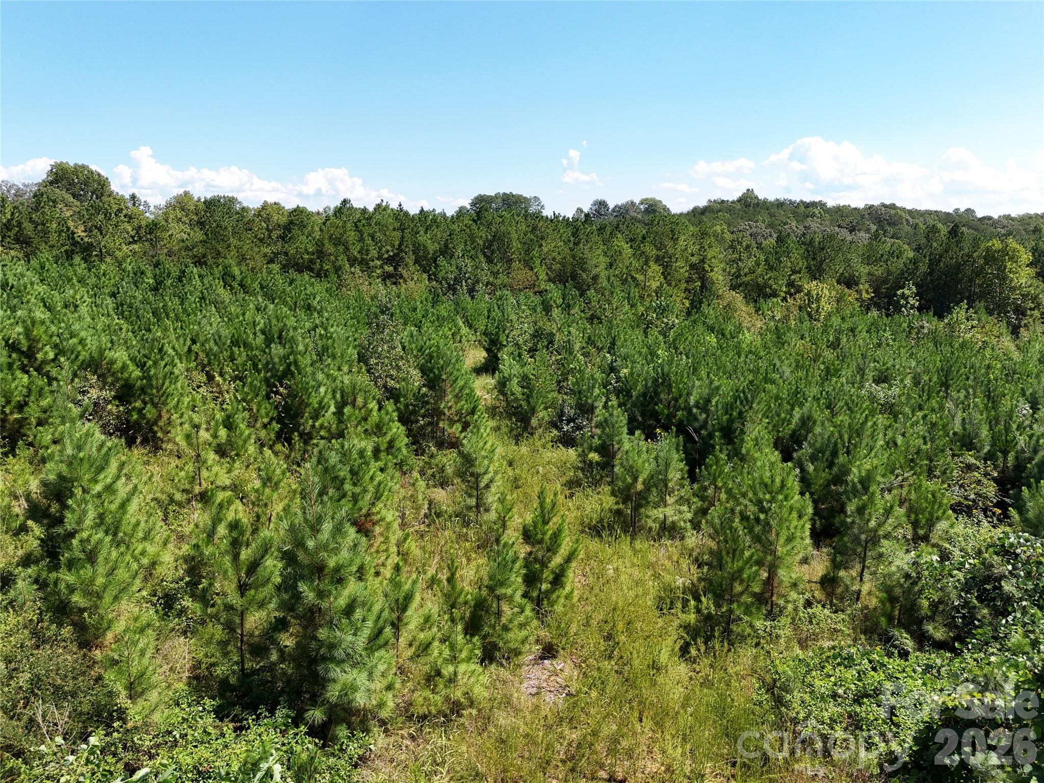2125 Whiteside Road Property Photo 5