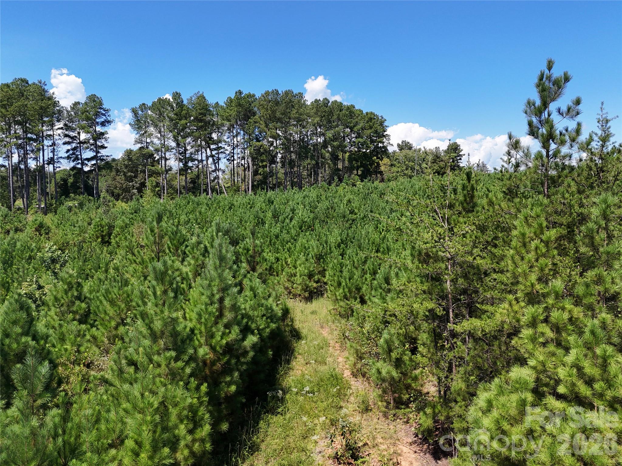 2125 Whiteside Road Property Photo 6