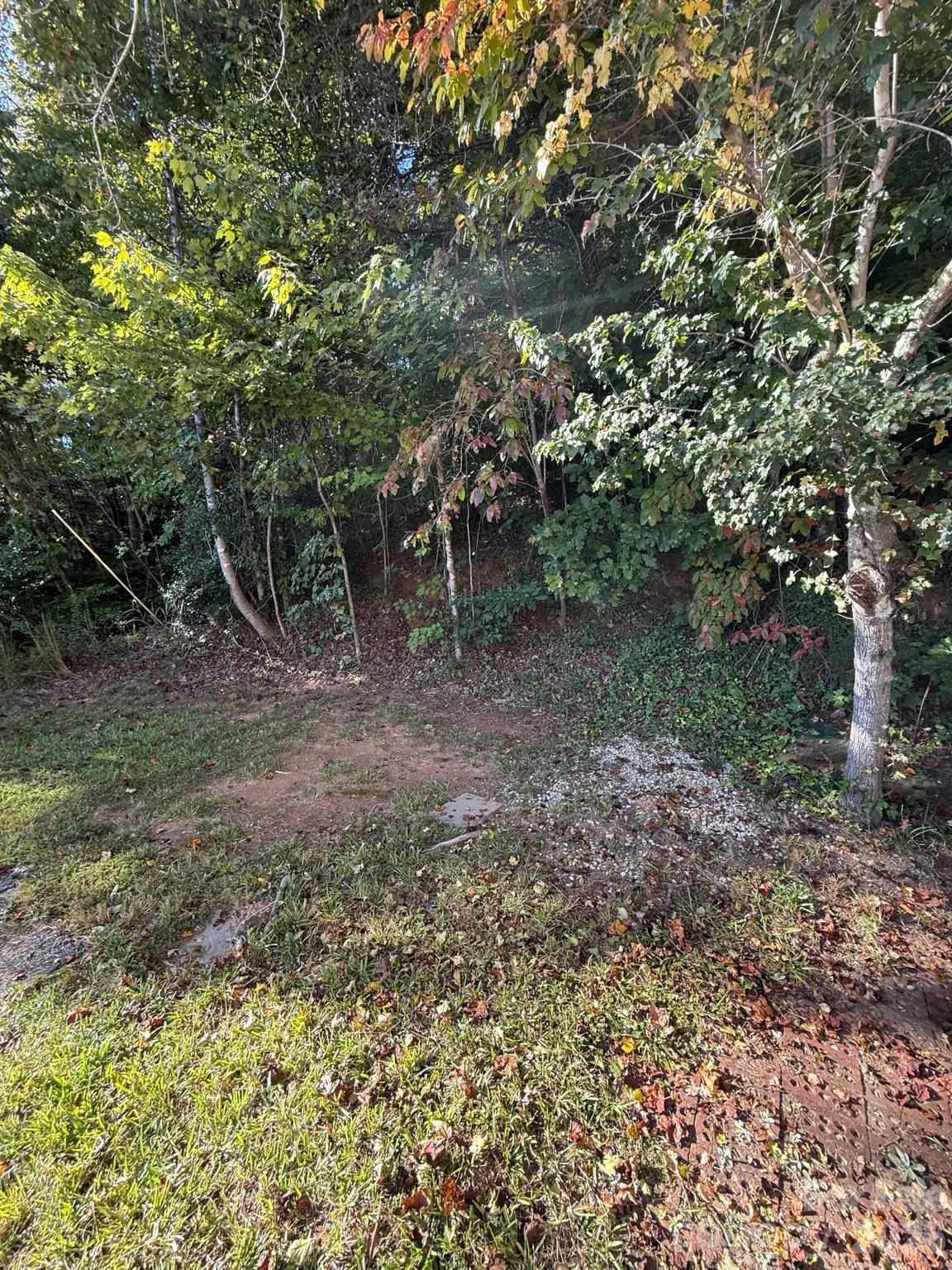 1516 Abington Road Property Photo 18