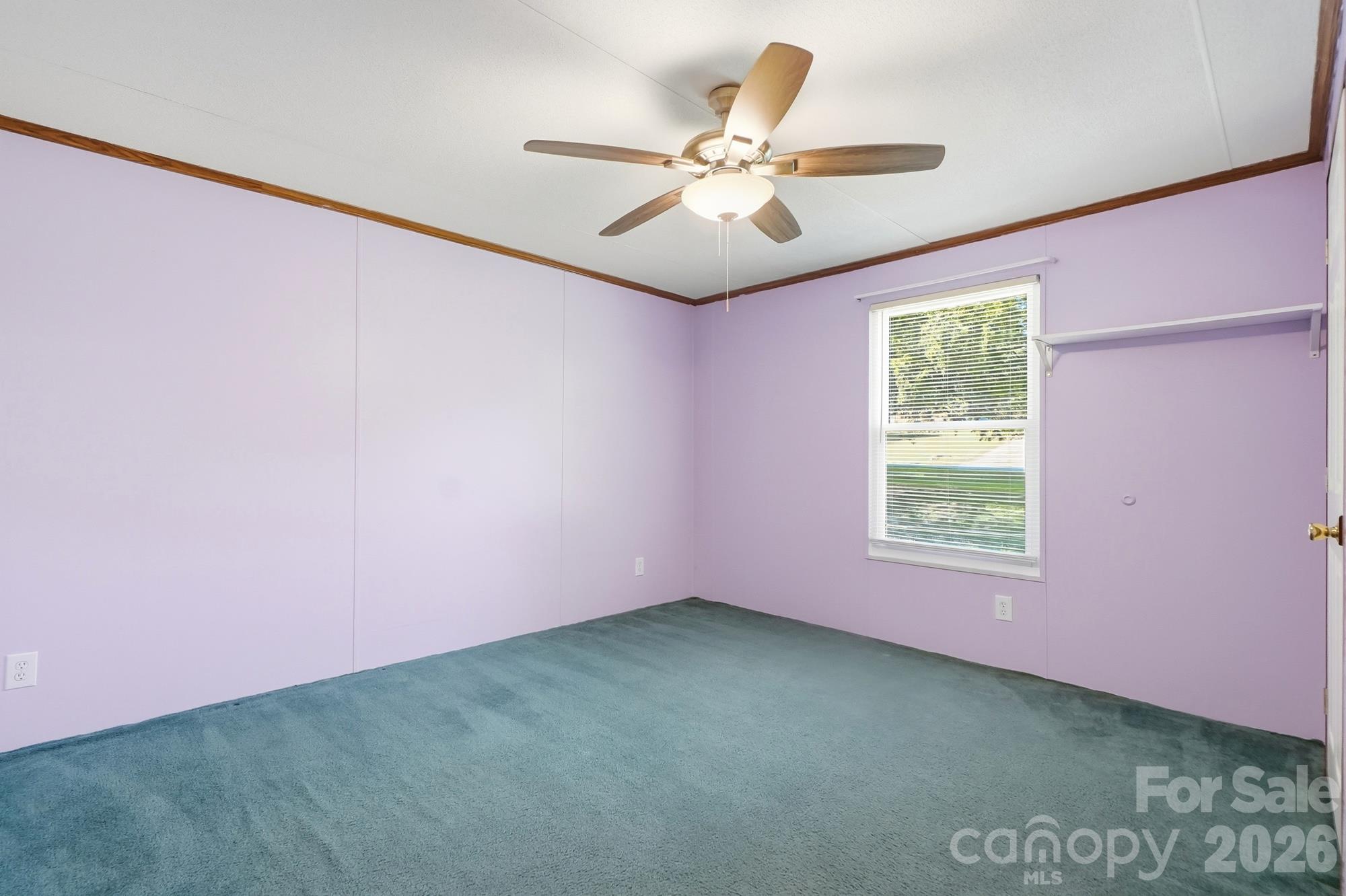 6017 Frazier Drive Property Photo 30