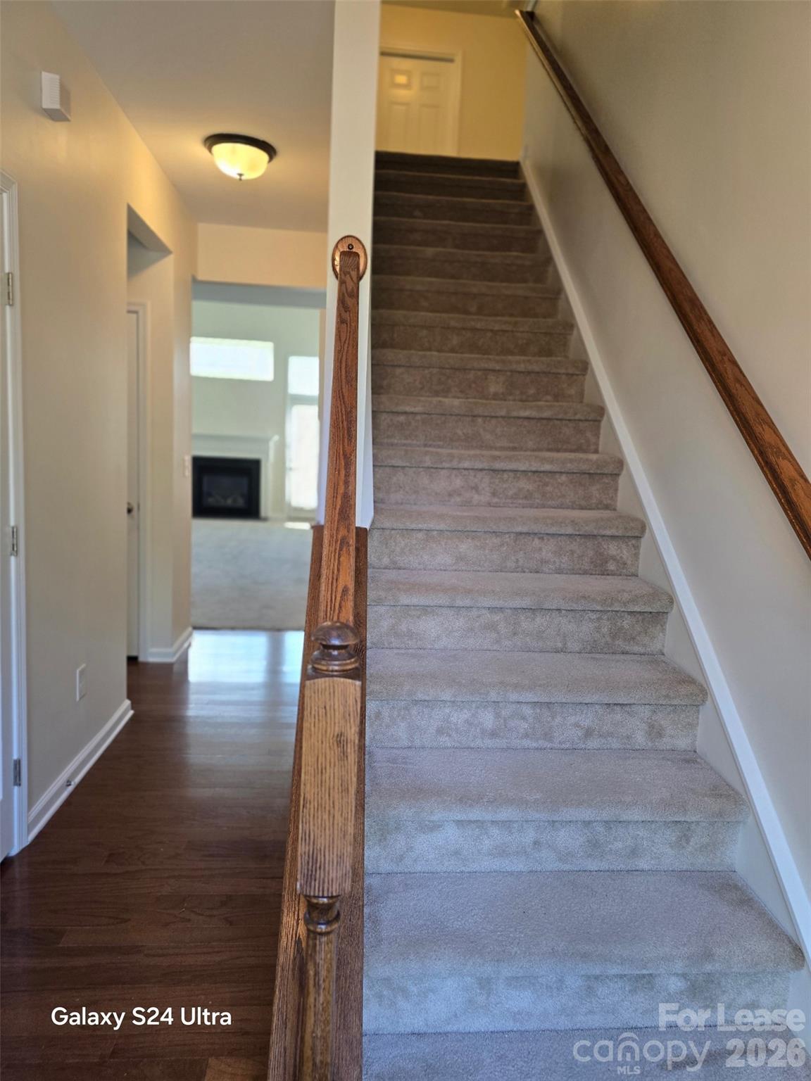 11727 Elizabeth Madison Court Property Photo 10