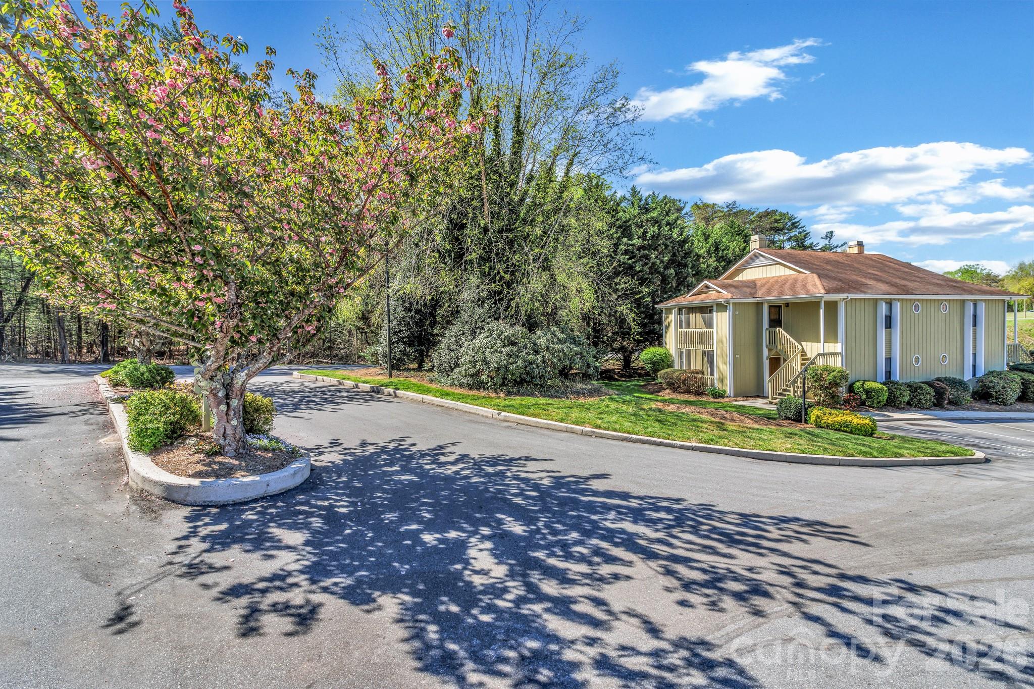 110 Heywood Road 11a Property Photo 41