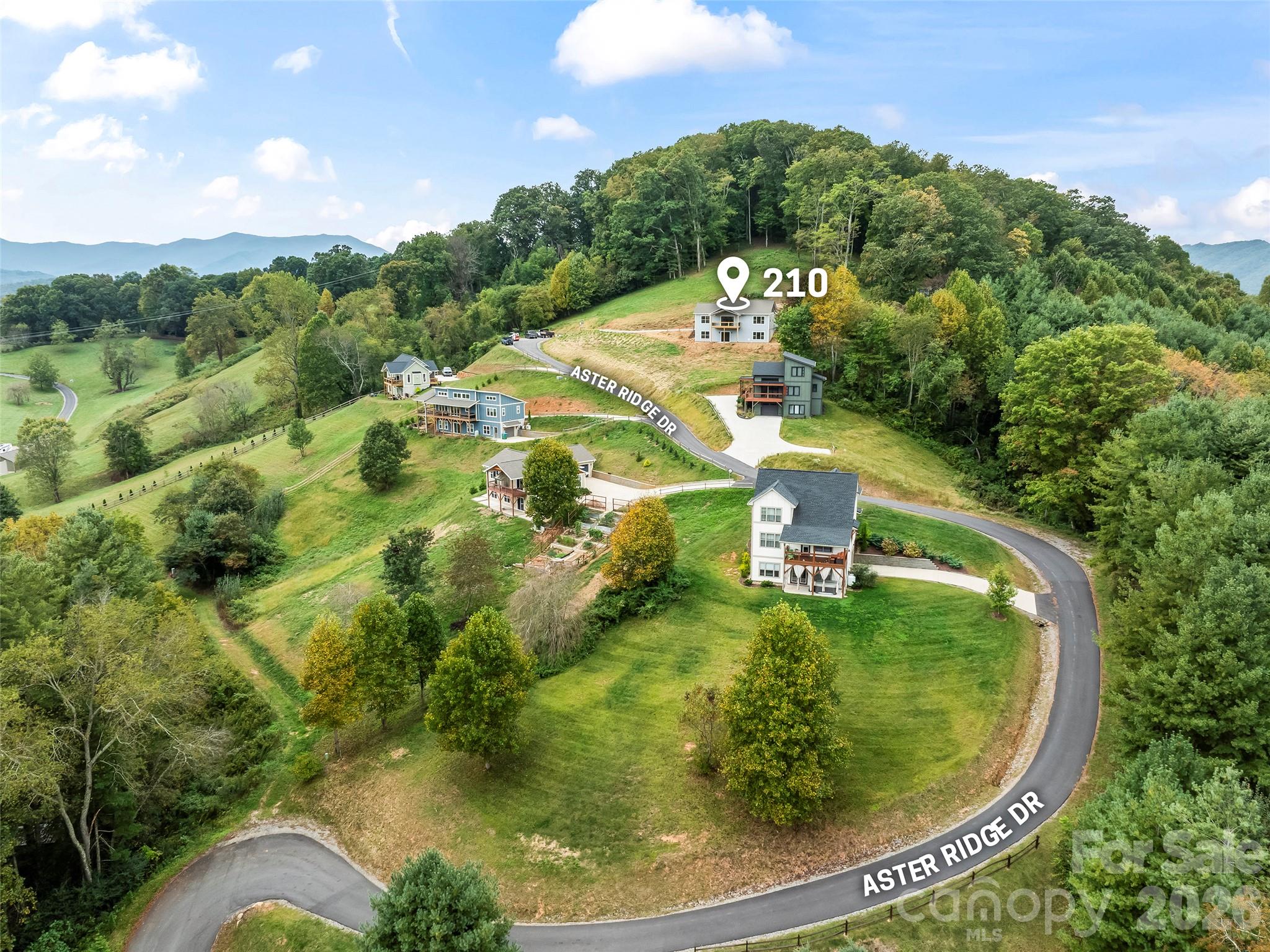 210 Aster Ridge Drive Property Photo 36