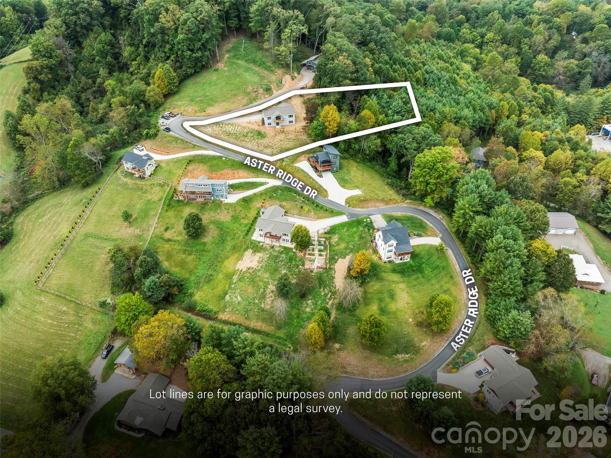 210 Aster Ridge Drive Property Photo 38