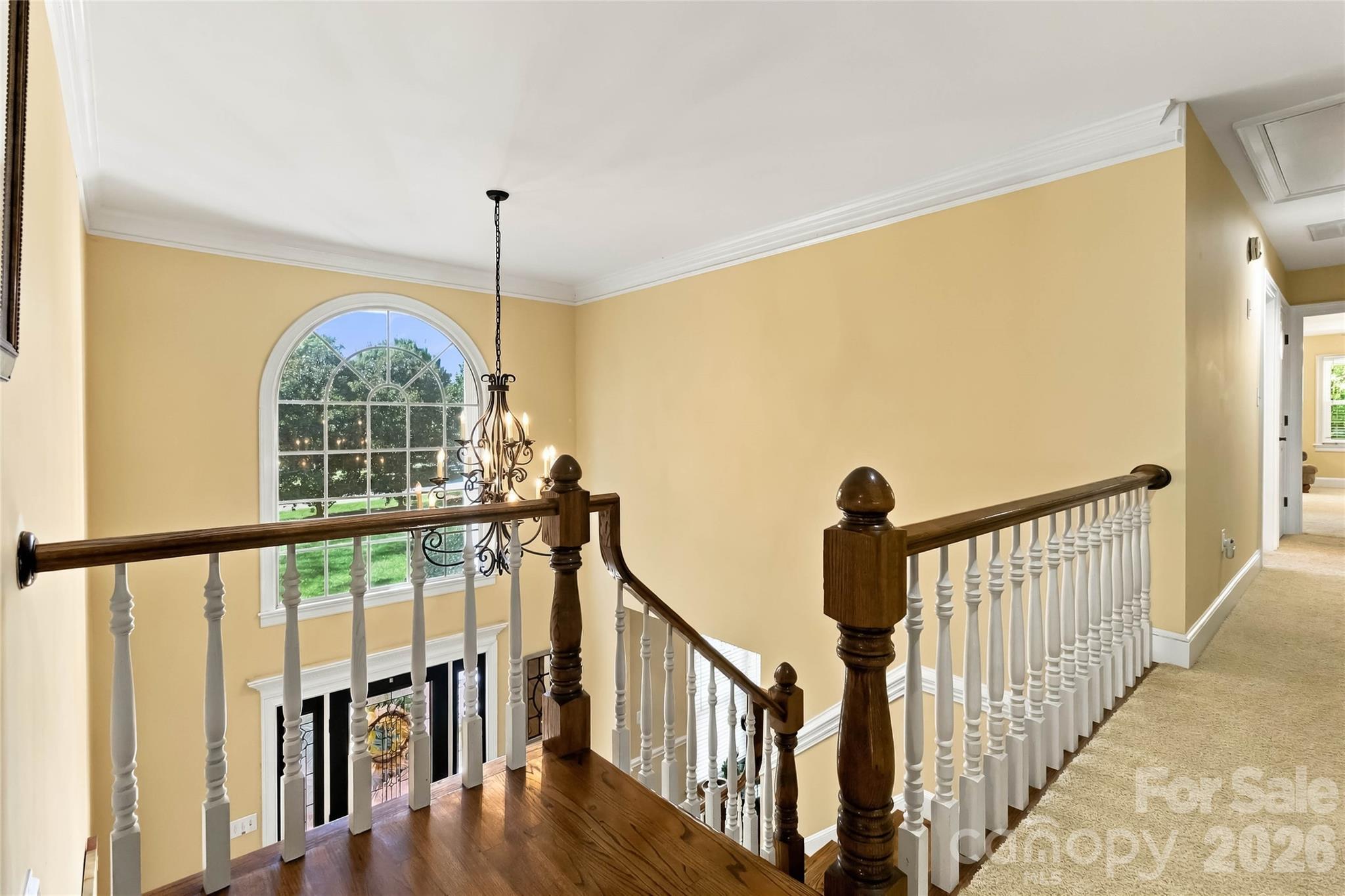 4301 Horseshoe Bend Property Photo 32
