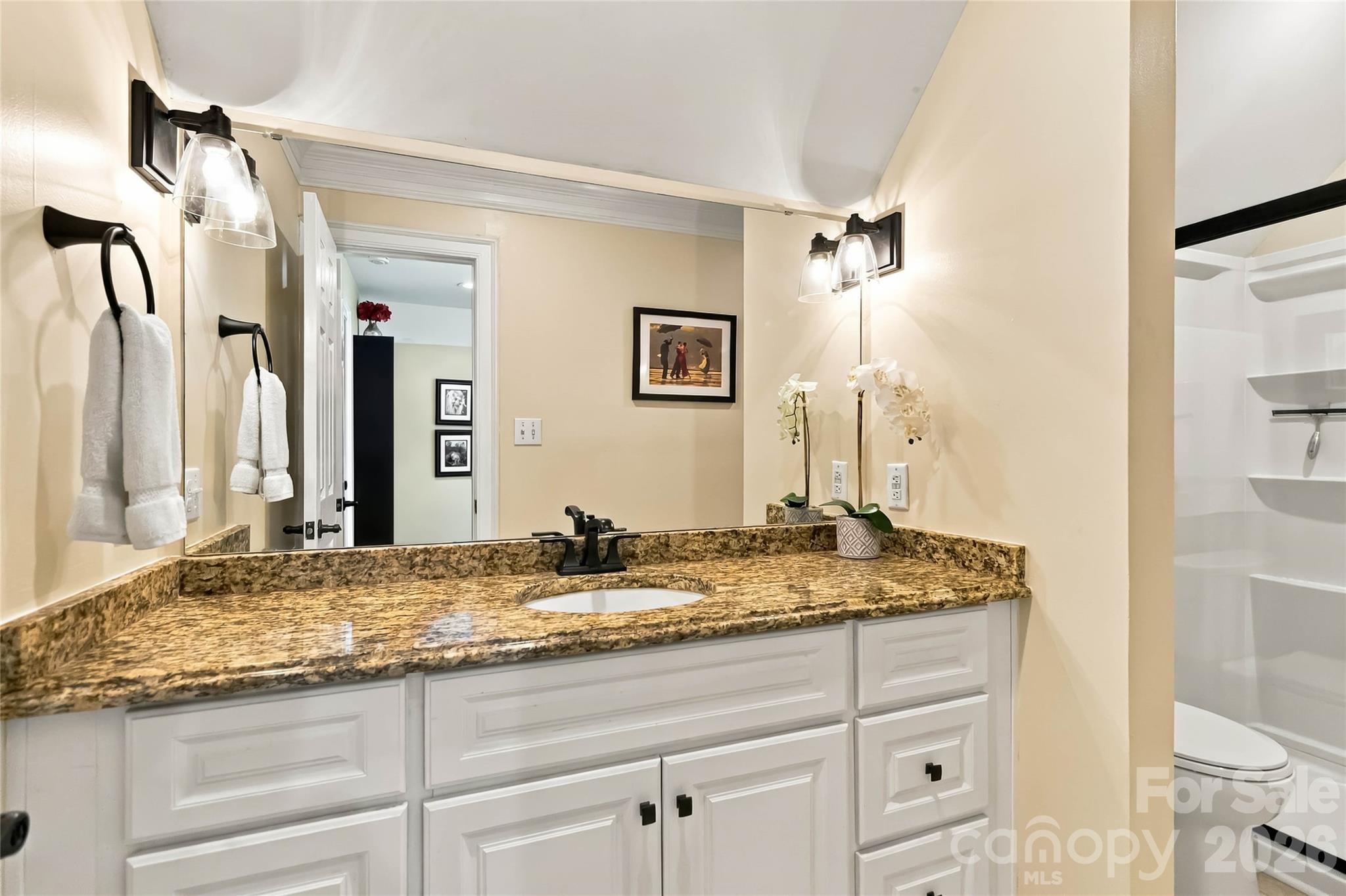 4301 Horseshoe Bend Property Photo 35