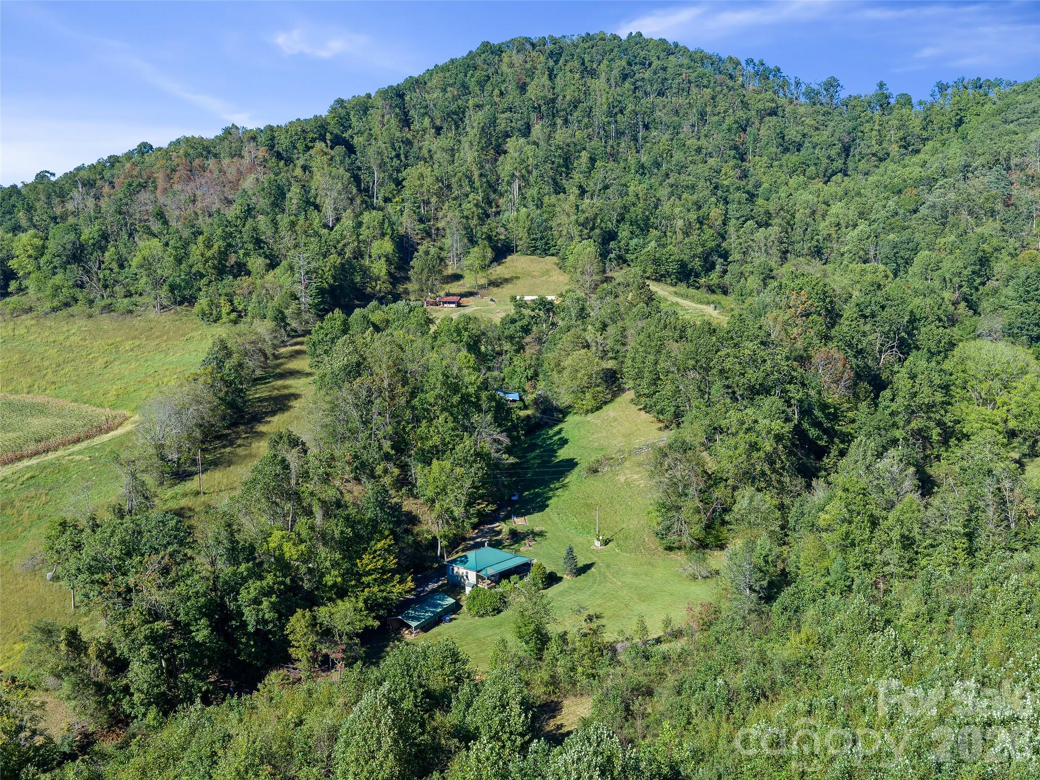 163 Cub Howell Road Property Photo 28