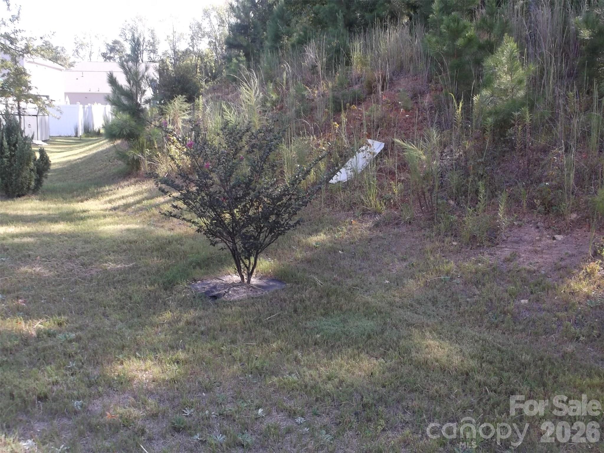 214 Wildflower Drive 26 Property Photo 3