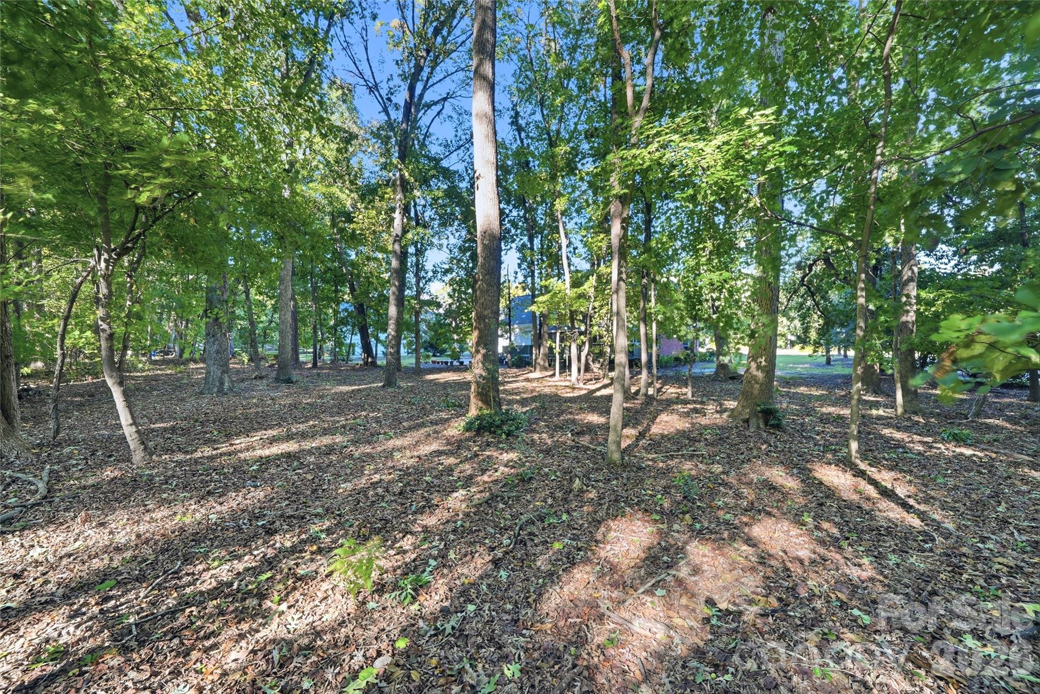 1121 Hillshire Meadow Drive Property Photo 42