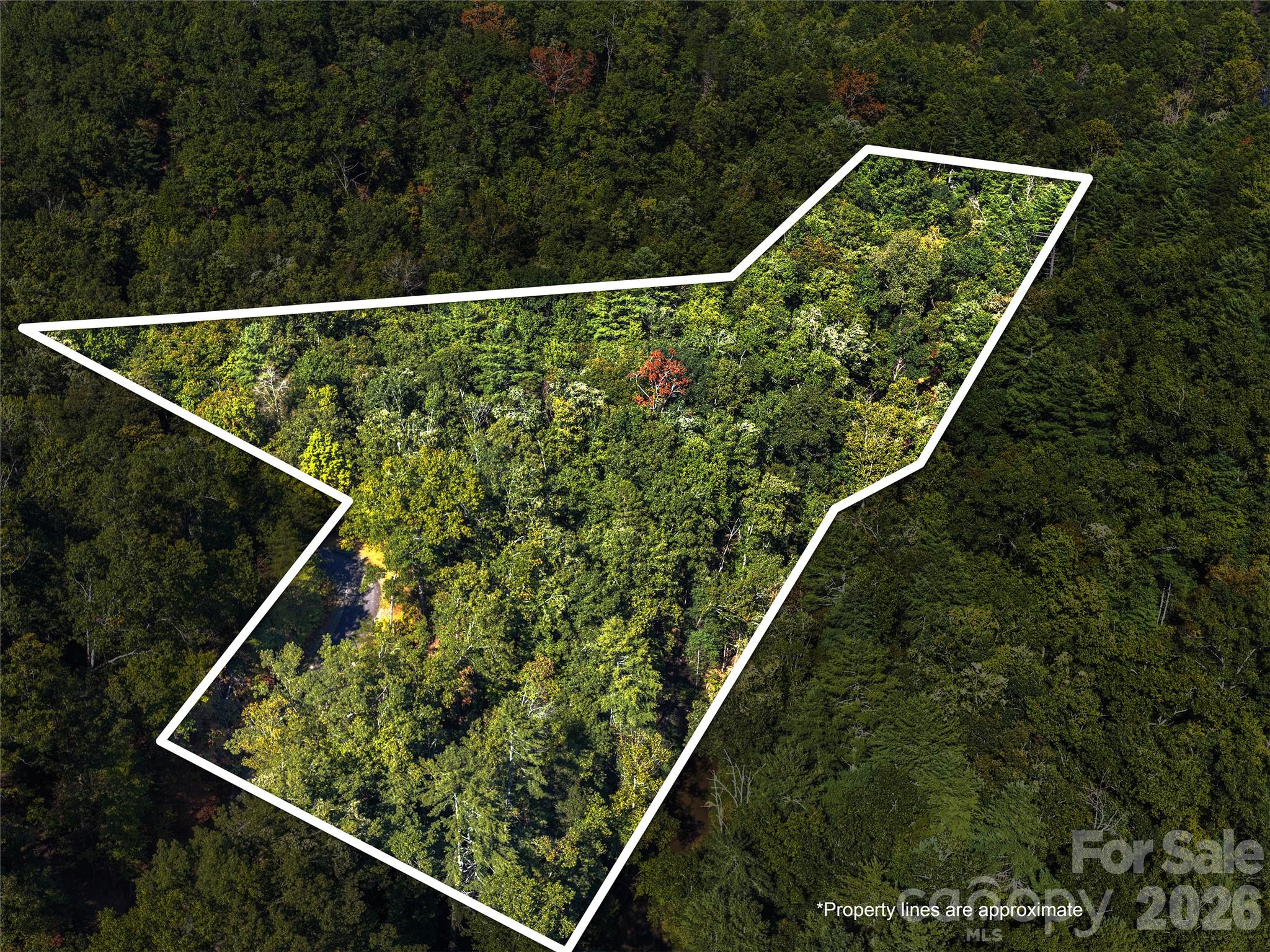 Lot # 17a Ostin Creek Trail 17a Property Photo 3