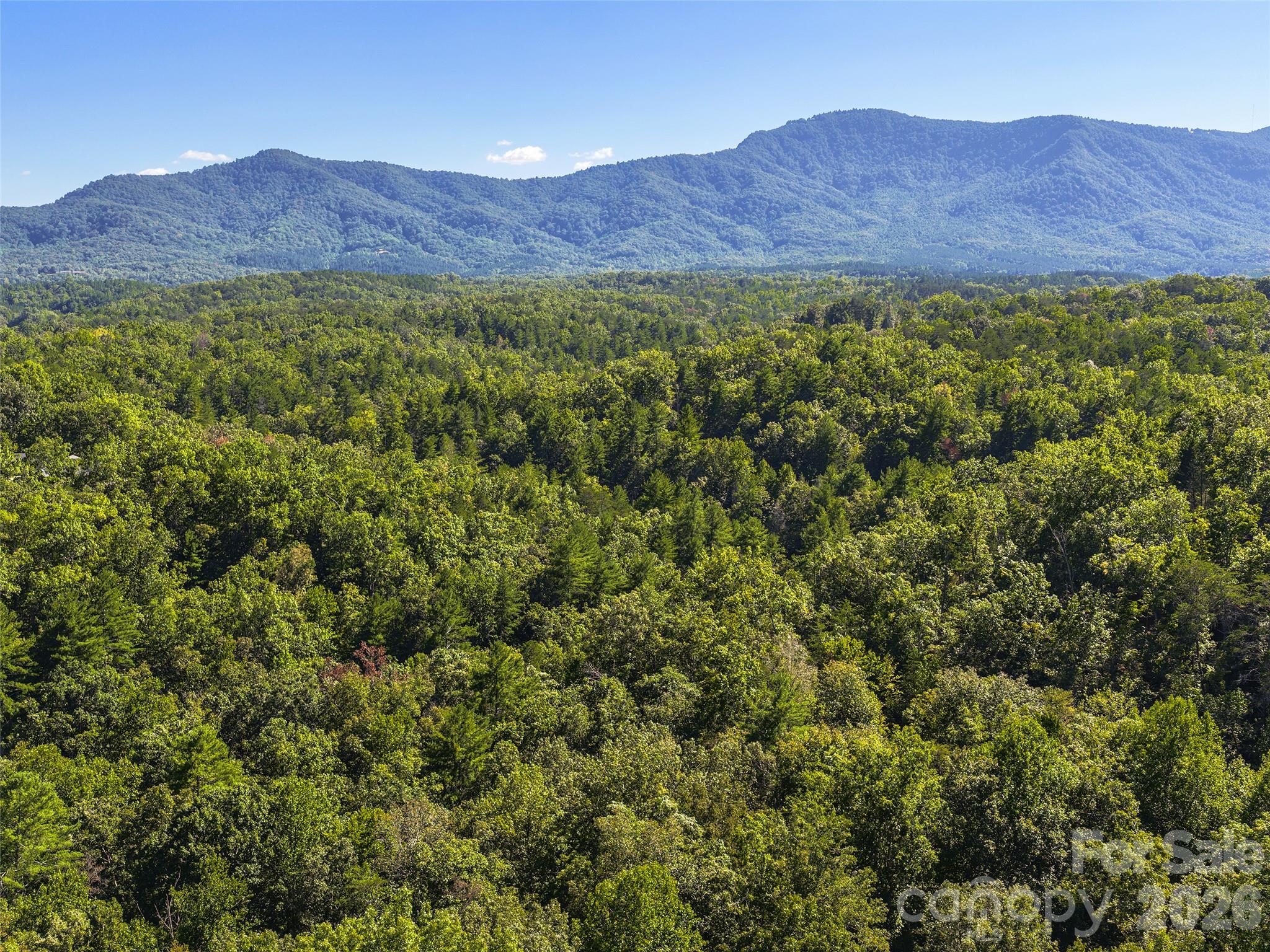 Lot # 17a Ostin Creek Trail 17a Property Photo 4