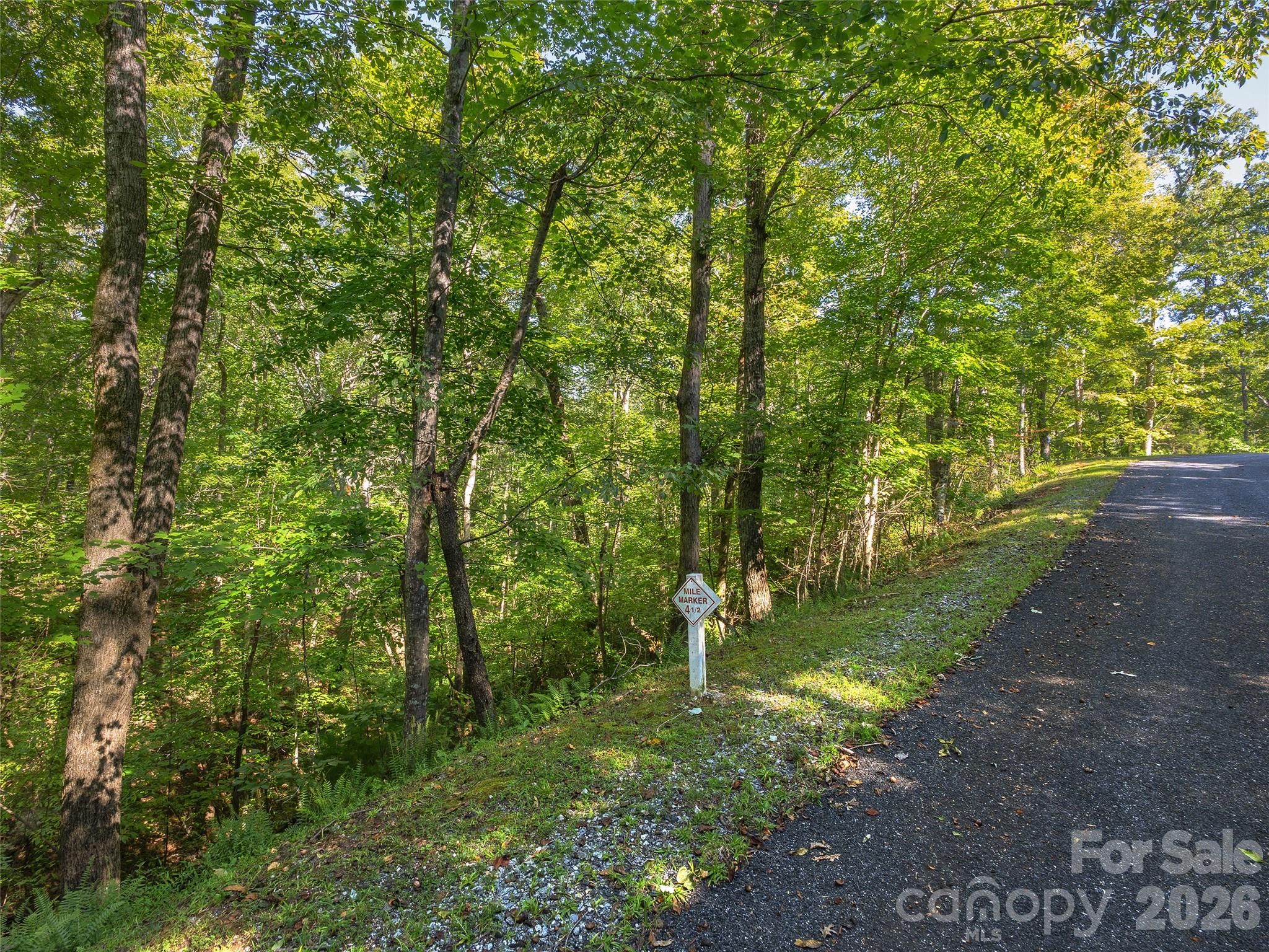 Lot # 17a Ostin Creek Trail 17a Property Photo 6
