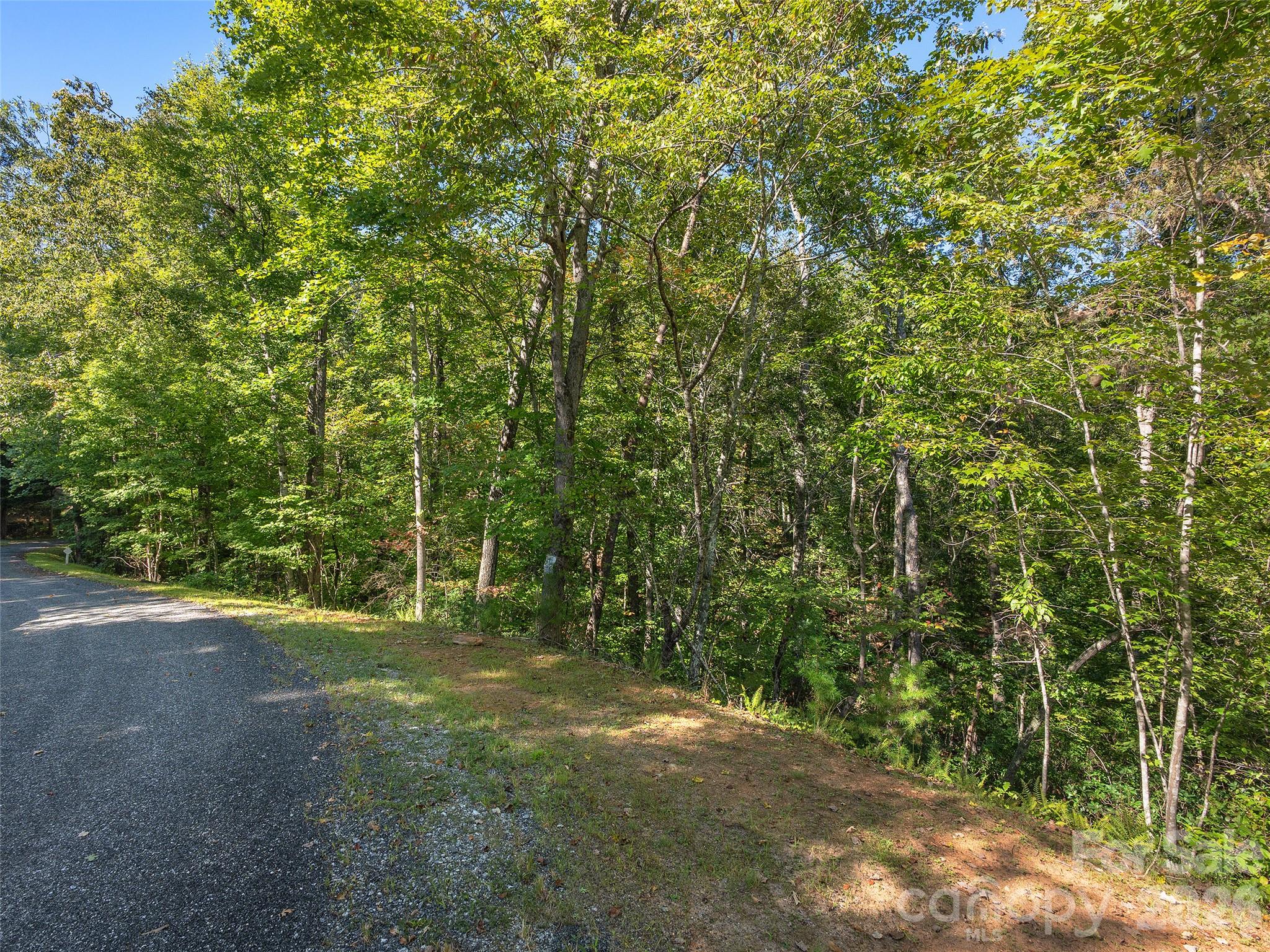Lot # 17a Ostin Creek Trail 17a Property Photo 7