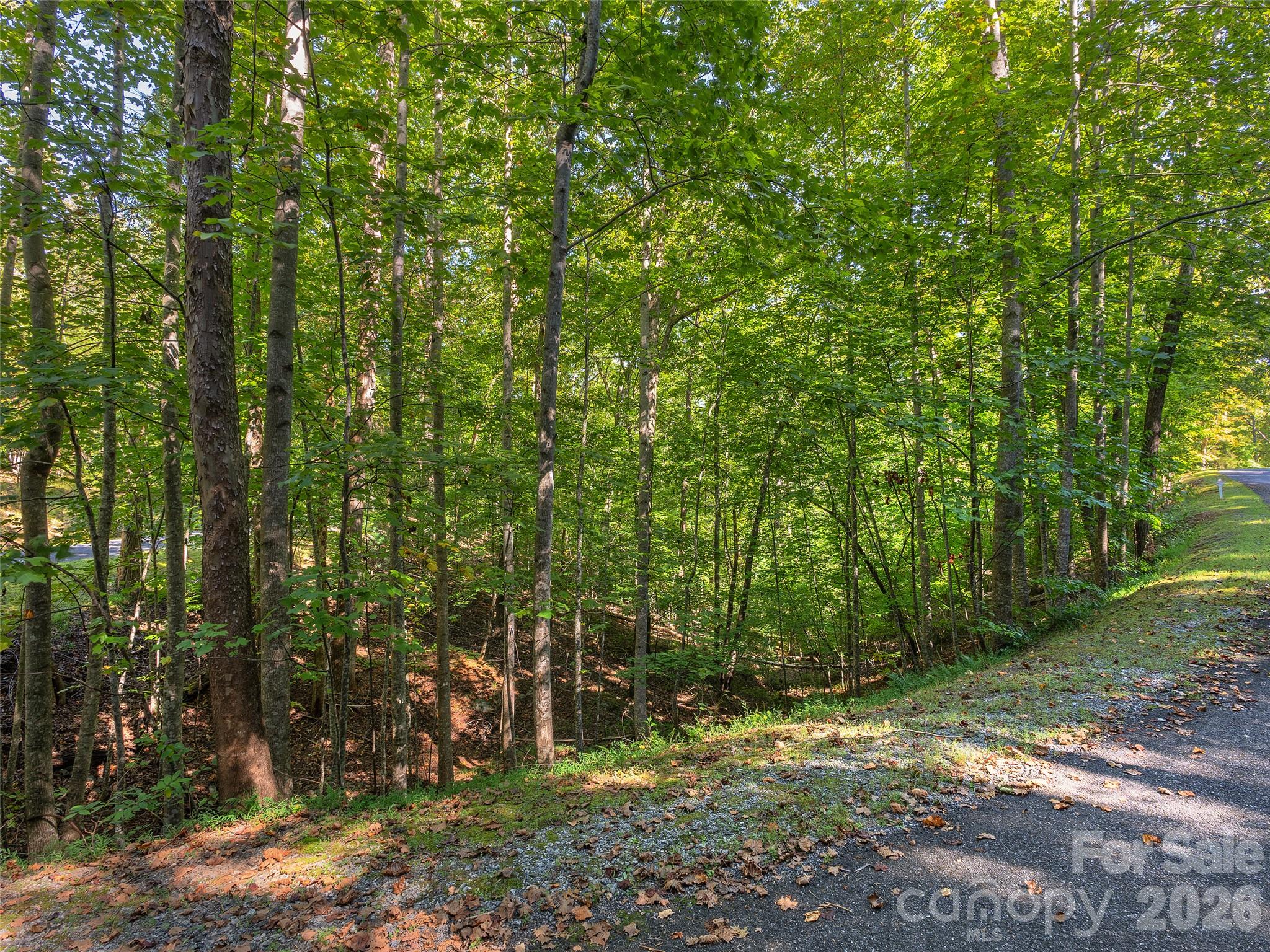 Lot # 17a Ostin Creek Trail 17a Property Photo 9