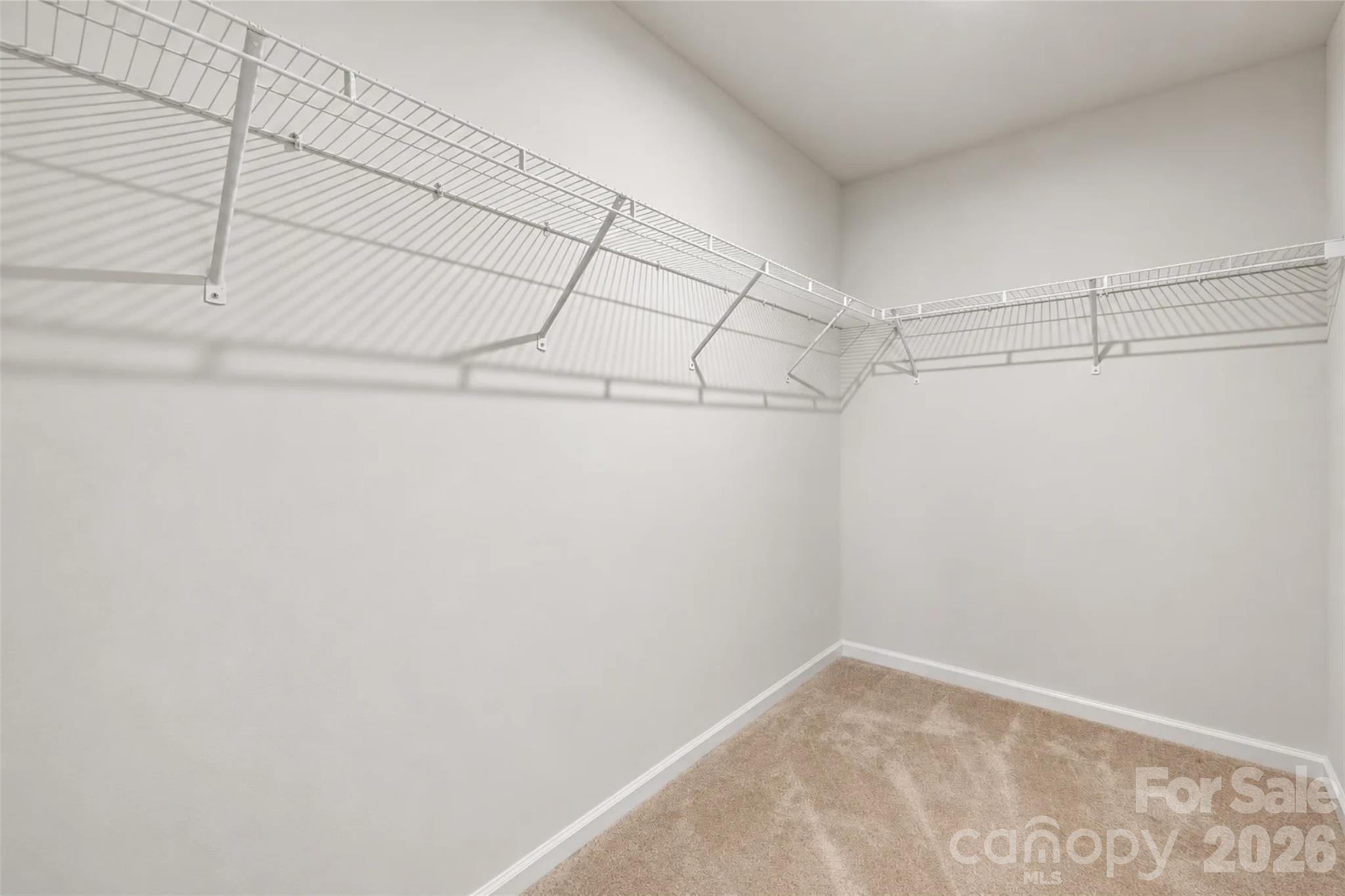 4244 Wild Ridge Drive Property Photo 24