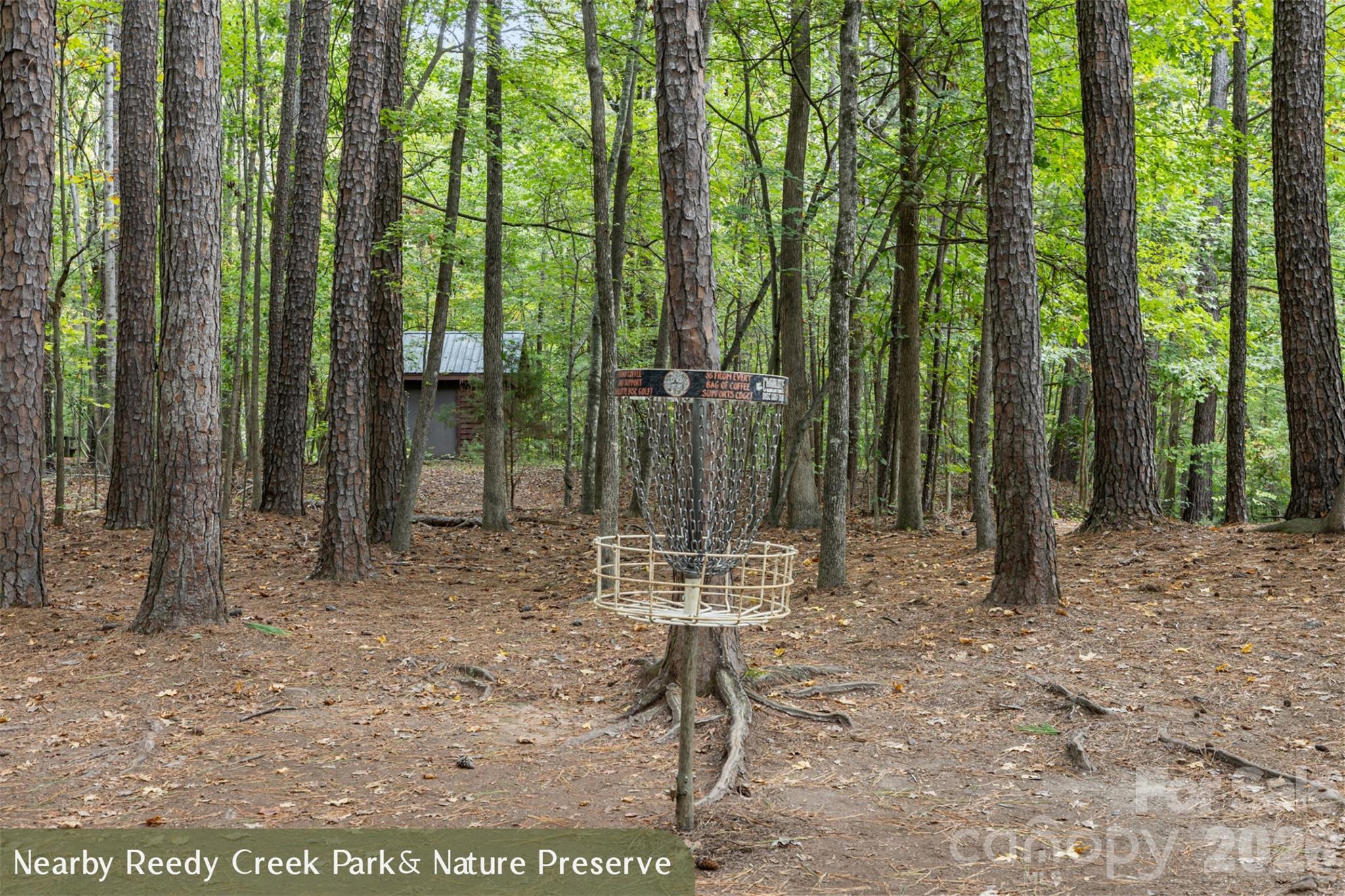 4244 Wild Ridge Drive Property Photo 45