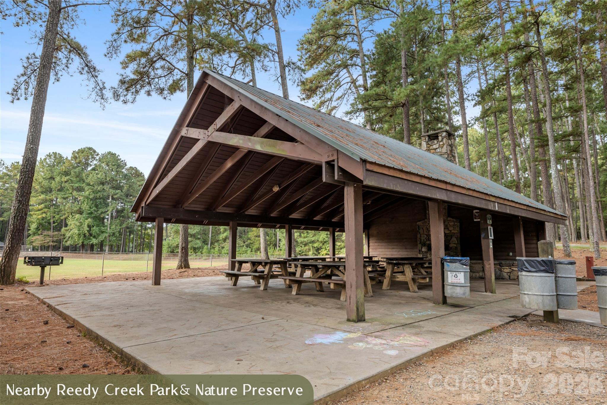 4244 Wild Ridge Drive Property Photo 46