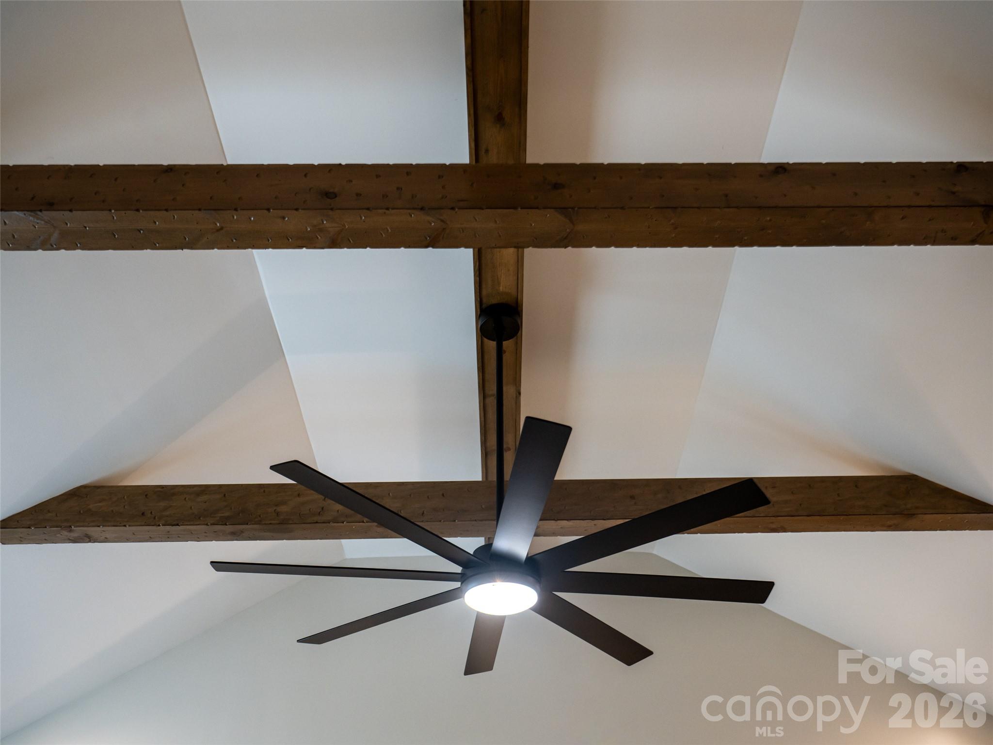 4431924 Property Photo 20