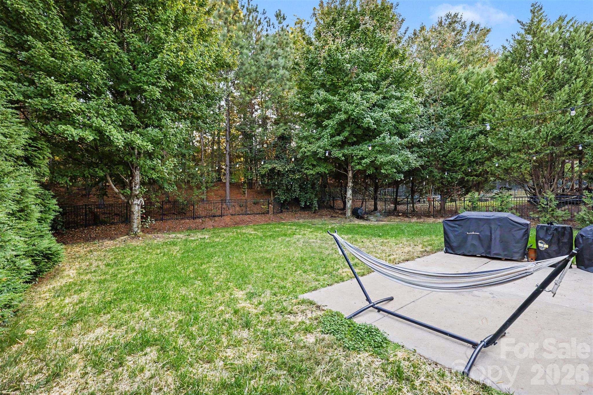 1333 Secret Path Drive Property Photo 29
