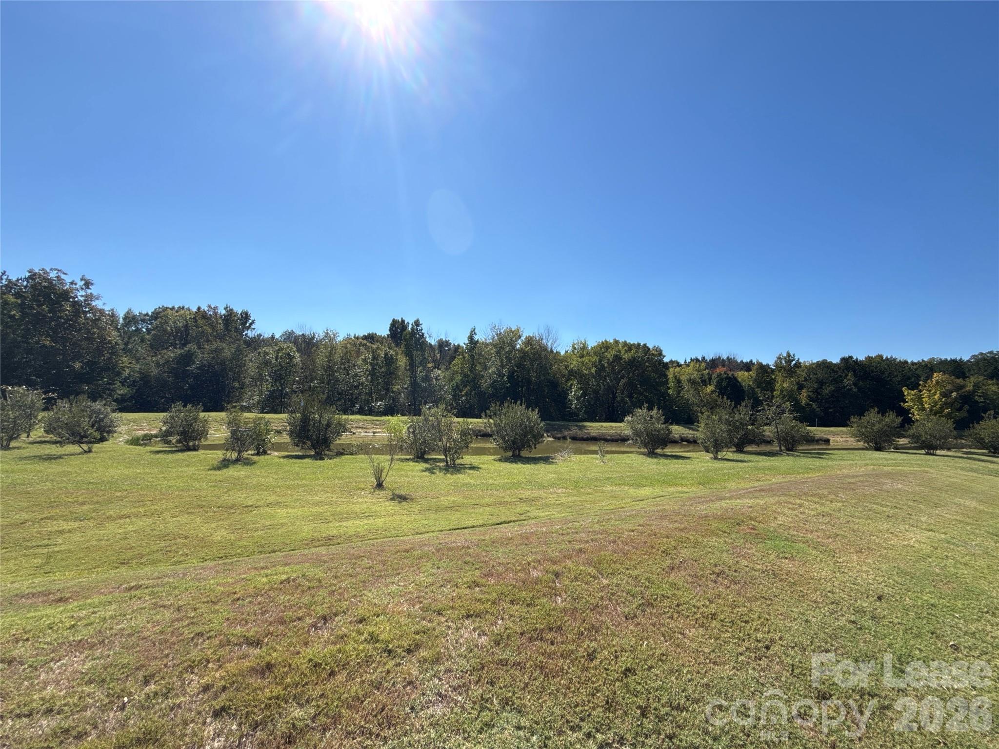 10109 Wesleyan Hall Drive Property Photo 30