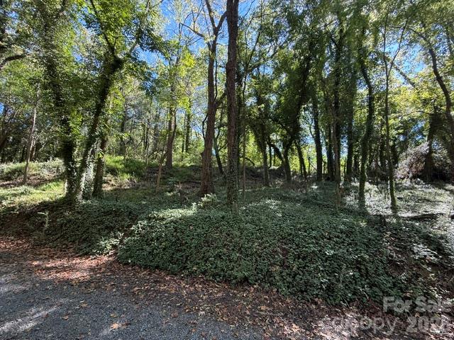245 Dunlap Street Property Photo 2