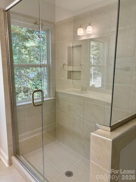 10508 Audubon Ridge Drive Property Photo 5