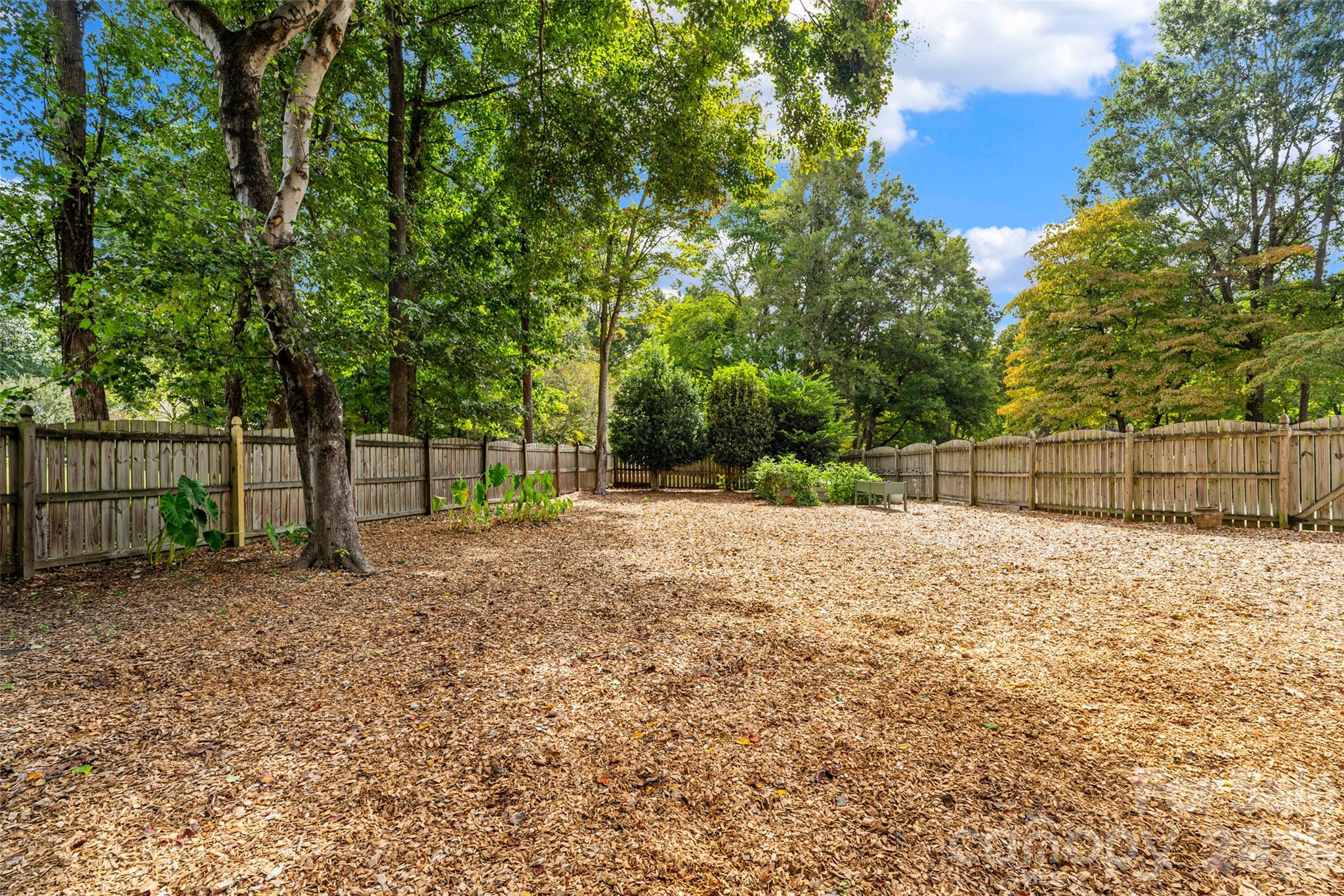 9831 Spring Harvest Drive Property Photo 33