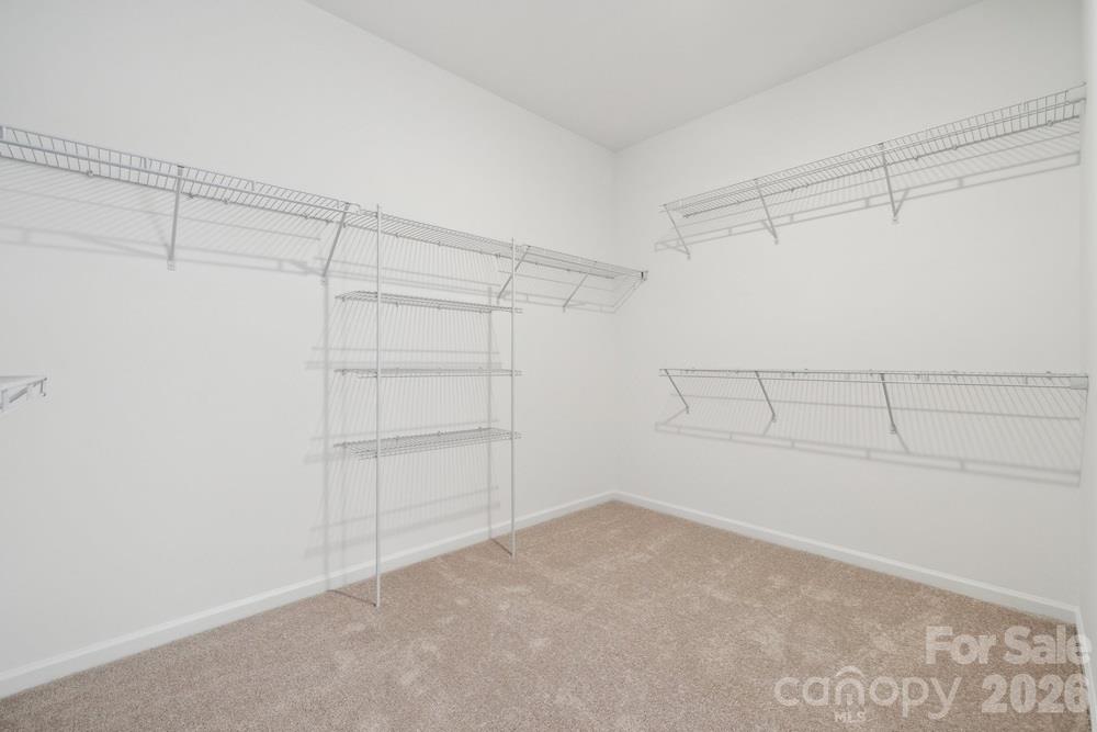 18222 Torchbearer Lane Property Photo 11