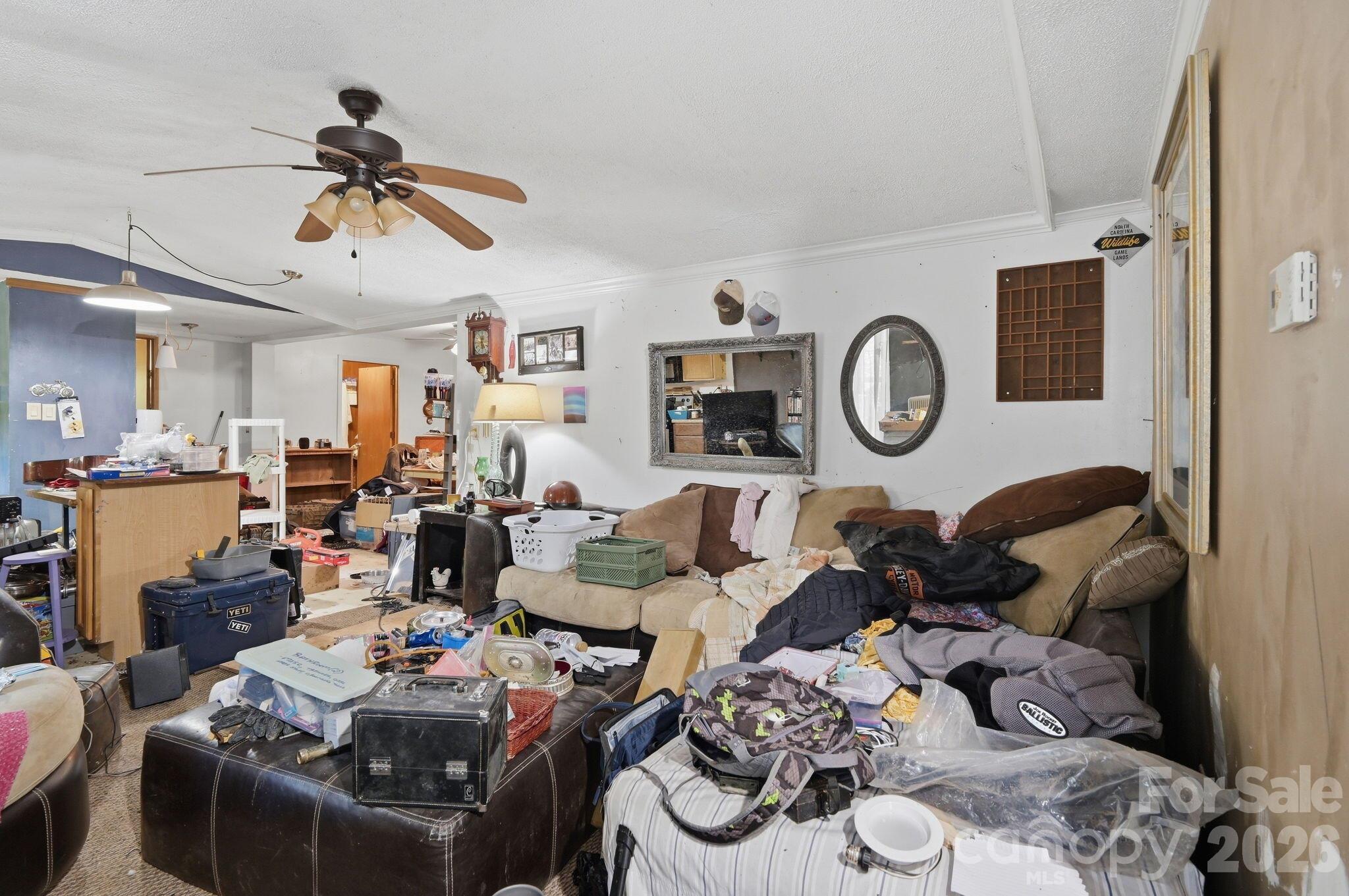 255 Dusty Lane Property Photo 4