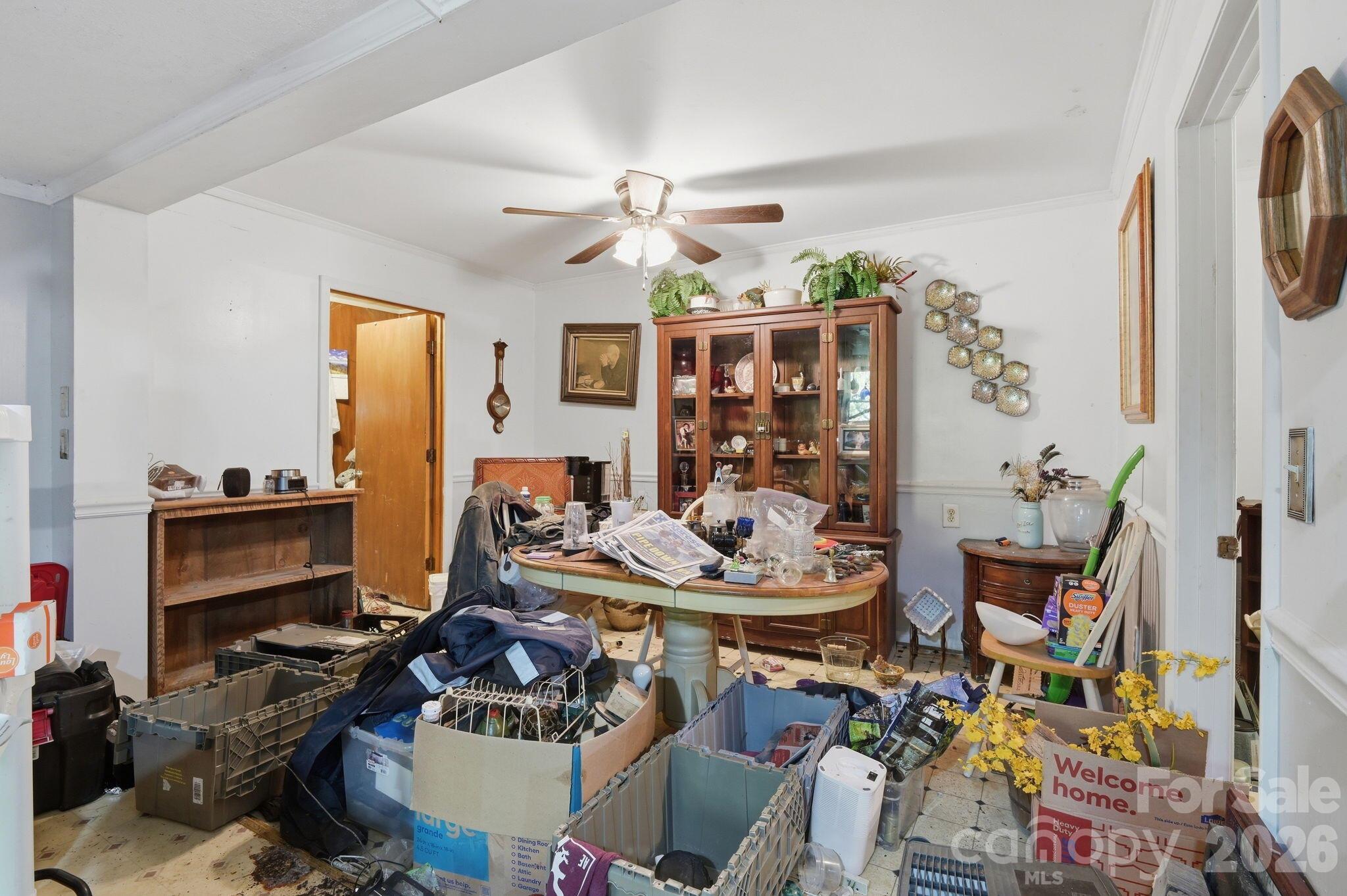 255 Dusty Lane Property Photo 6