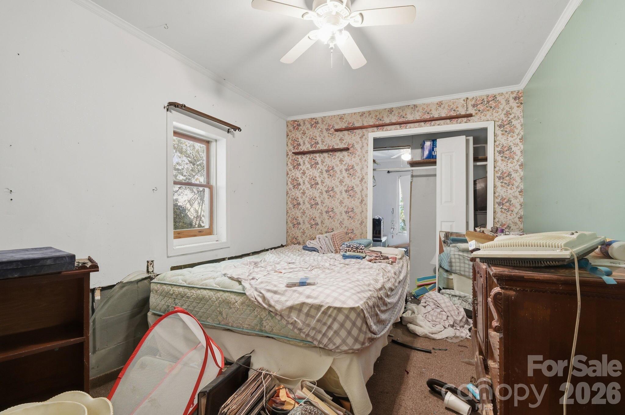 255 Dusty Lane Property Photo 9